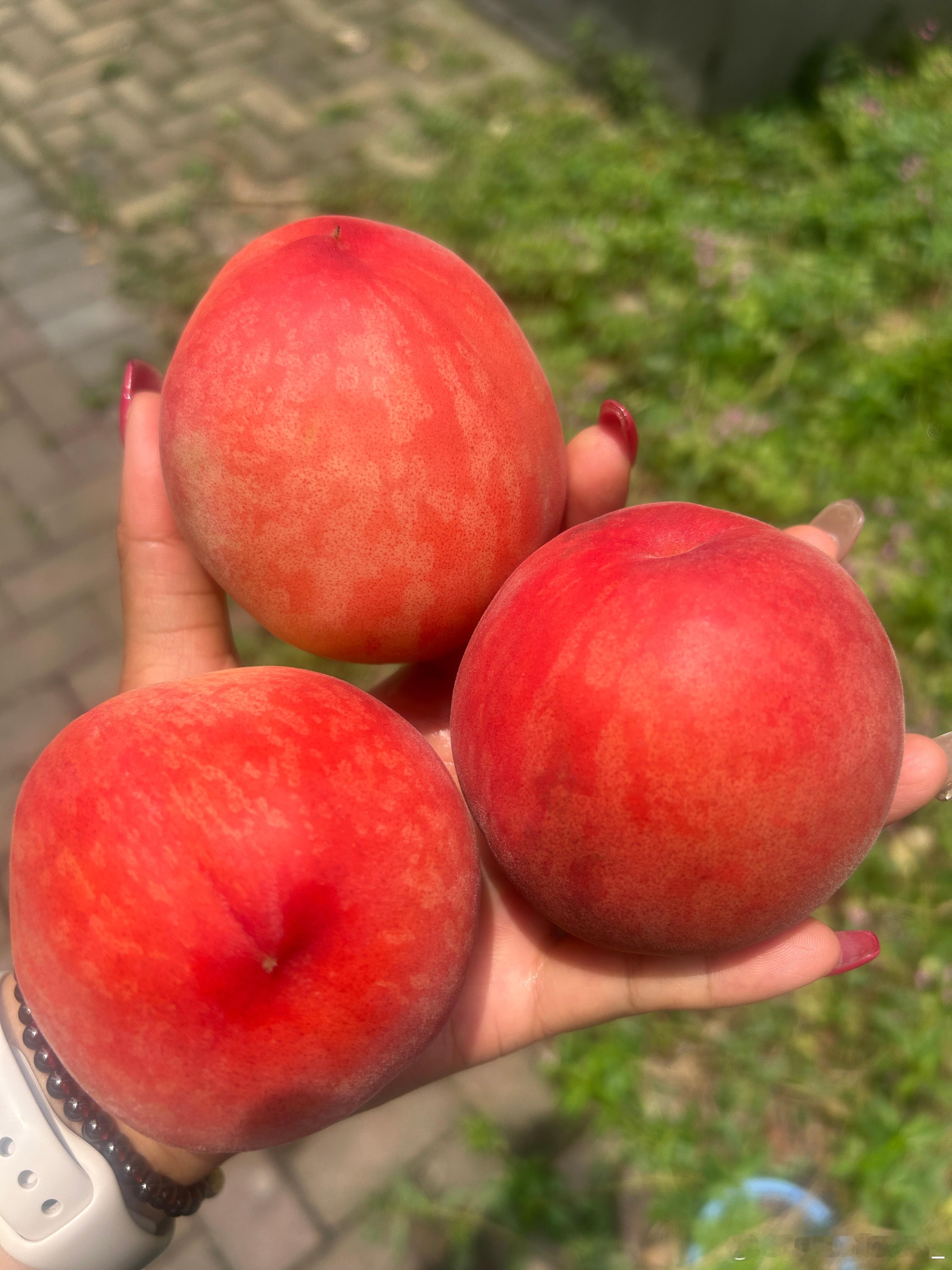 这桃子🍑看着好看吃着一点也不甜。就像有些人看着像个人样。其实骨子里坏透了。 