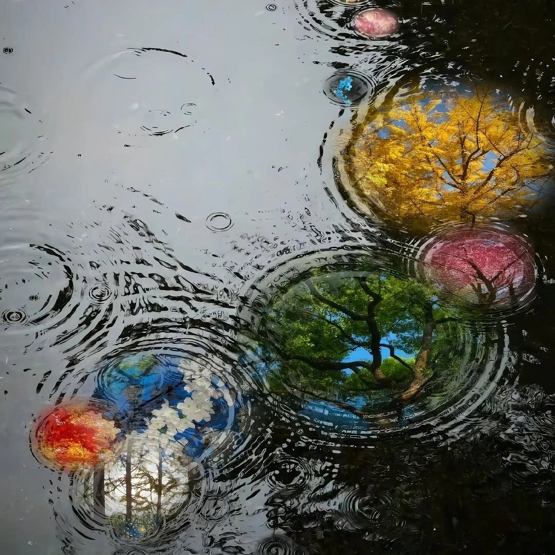 包谷在院子里，院子在八月， 八月在一场蓝里， 当我一颗颗把她们摁进秋天， 便听到