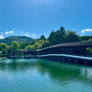 山楂树下