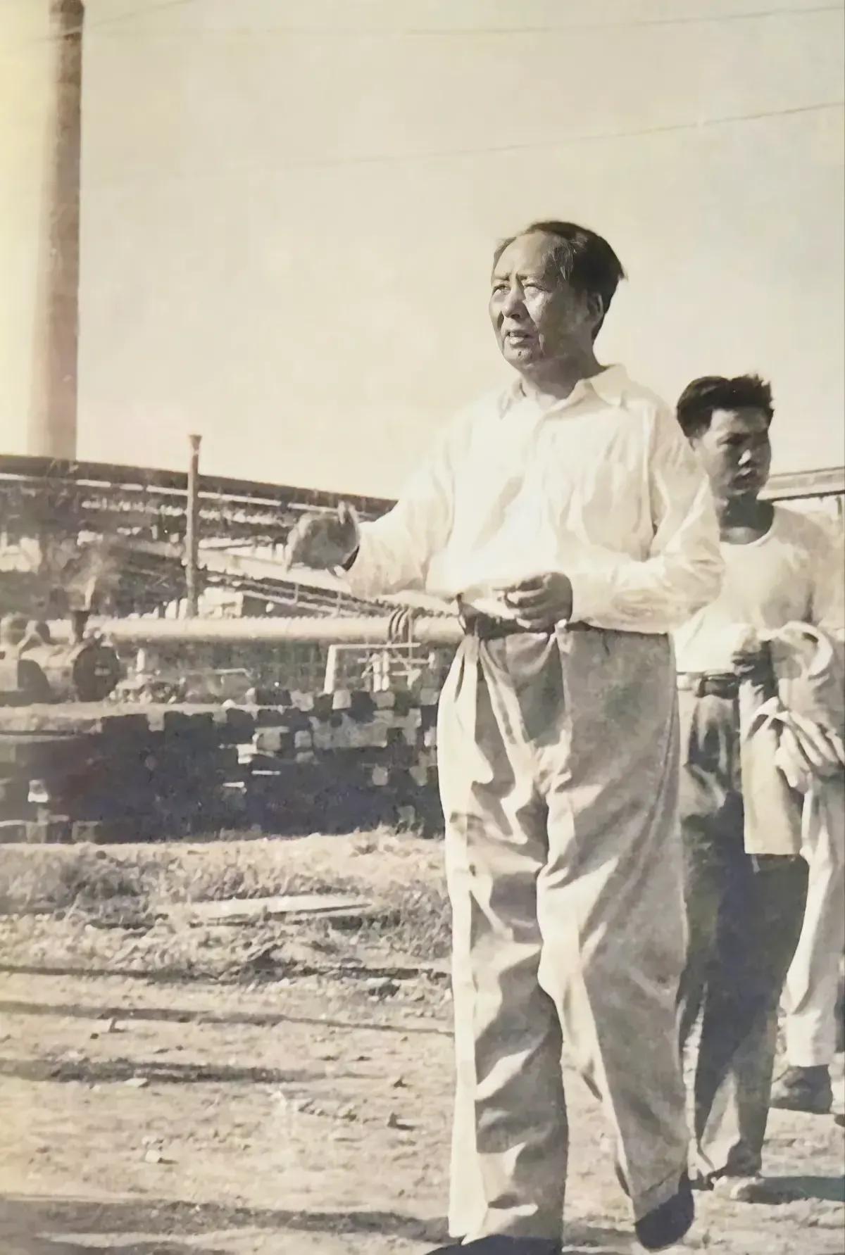 您为人民幸福奔波！