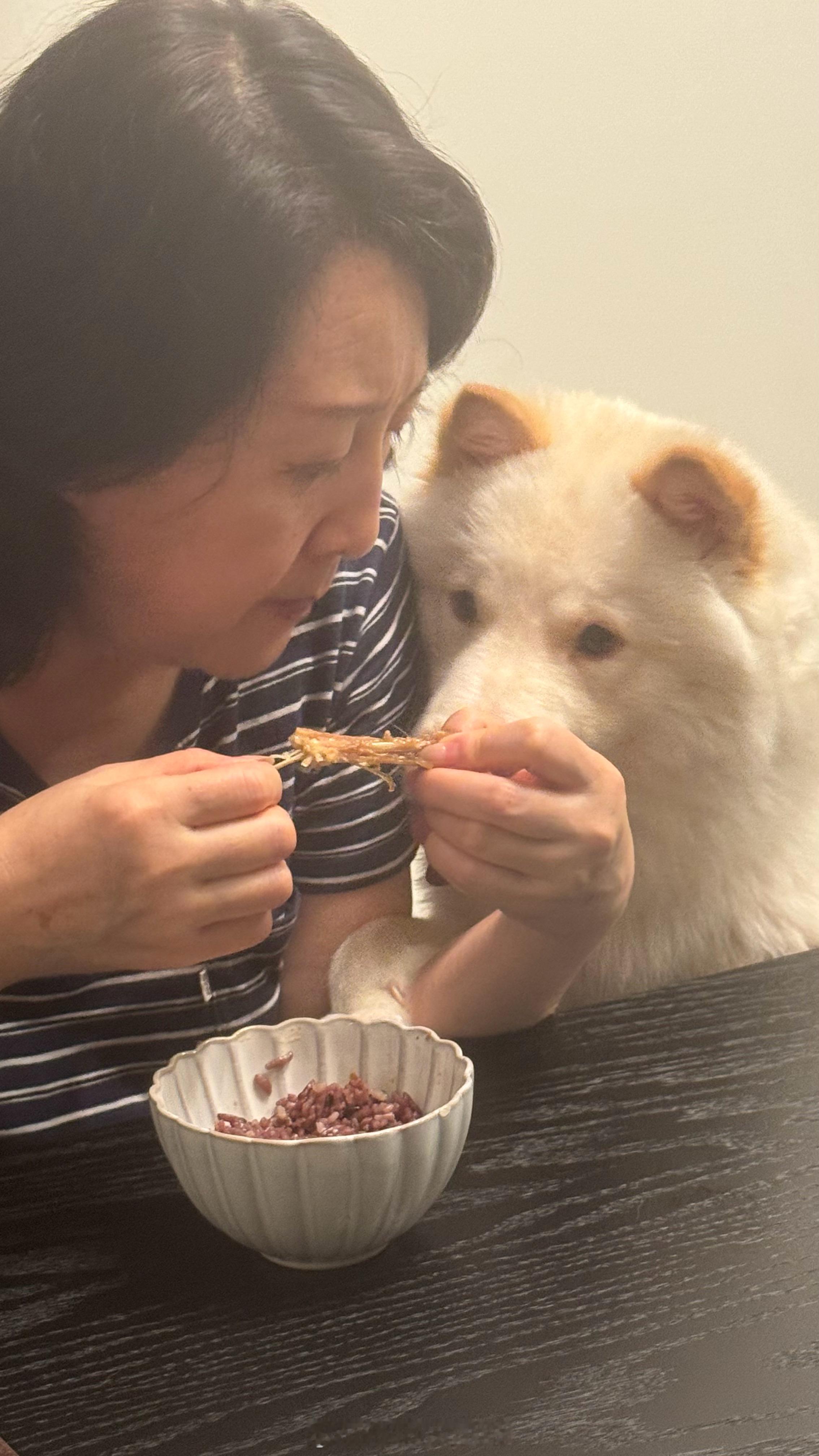 小狗从来不敢问爸爸讨吃的，但拿捏外婆的办法还有点小智慧。奶油在桌上要不到吃的，立