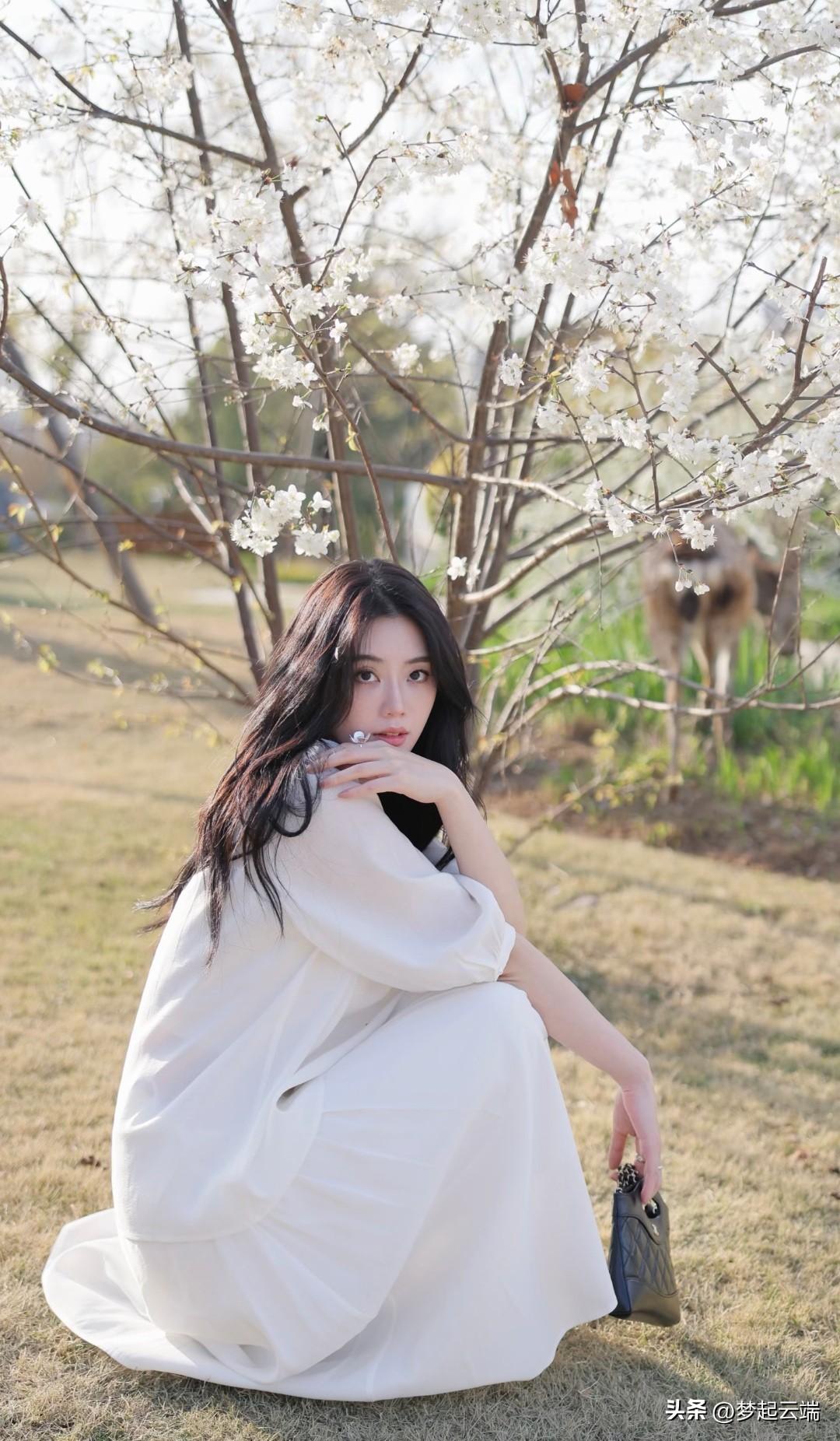 樱花树下，白衣少女，静谧时光。