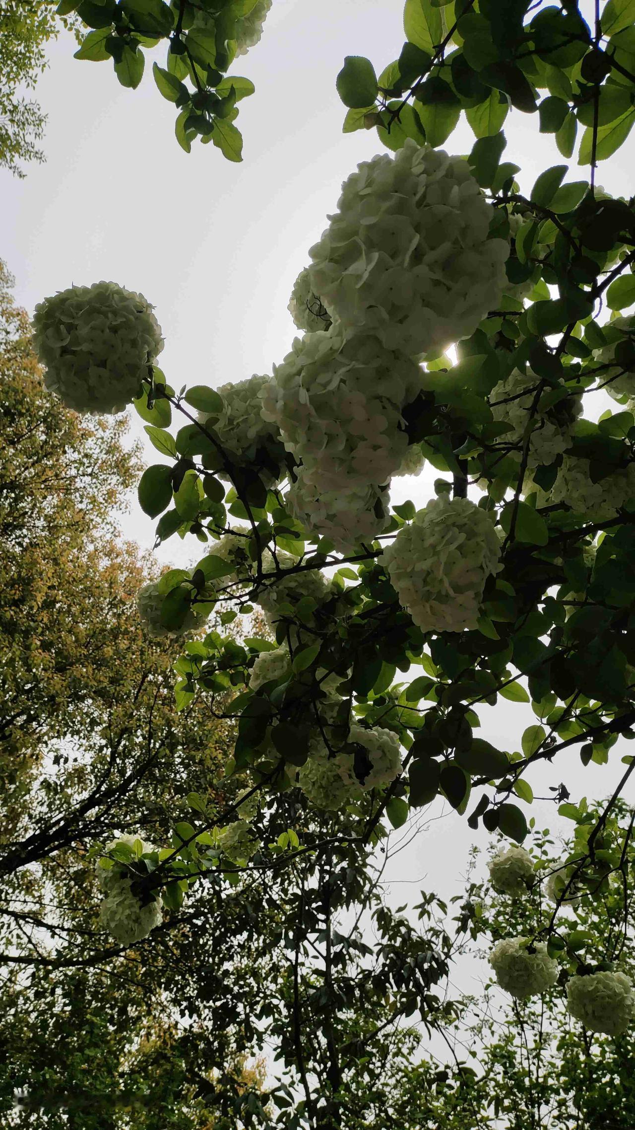 我的今日状态：😁轻松愉快
我这里的天气：☀️晴天