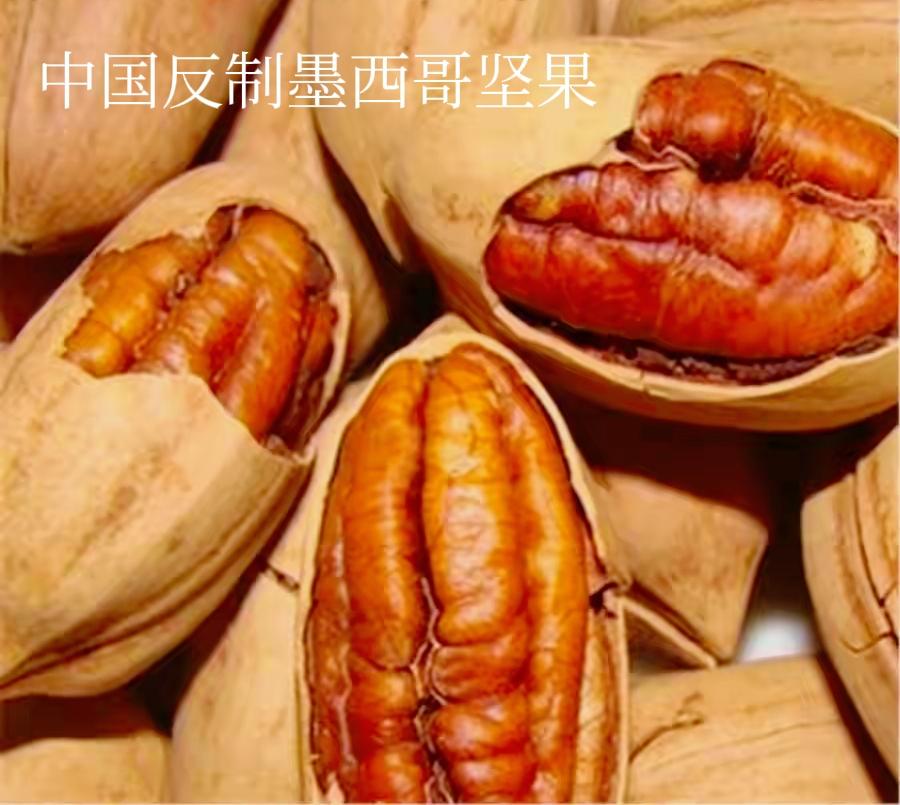中国对准墨西哥这只出头鸟“开枪”了，而且连射两发“复仇子弹”。

9月25日晚，