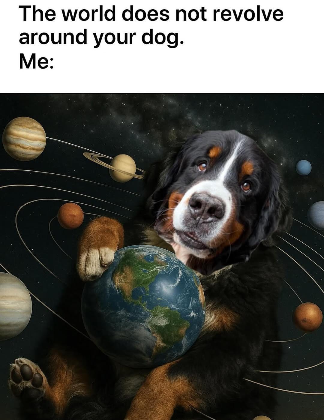 伯恩山梗图meme18张
狗狗 伯恩山犬 伯恩山 小狗 梗图 memememes