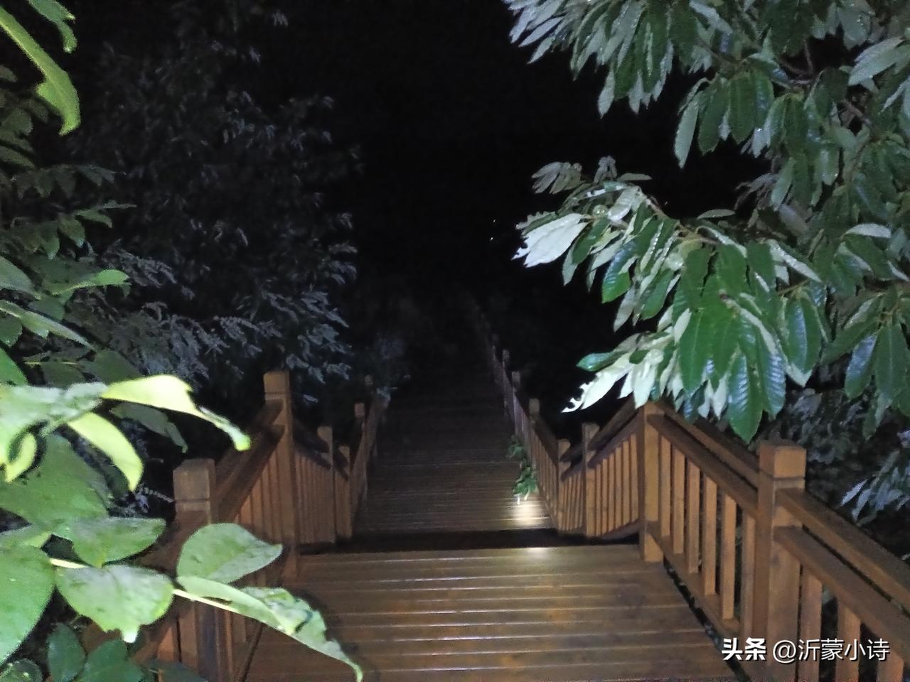 最需要抓住的是机会
​最需要学会的是知识
​最需要拥有的是智慧
最需要洗涤的是灵