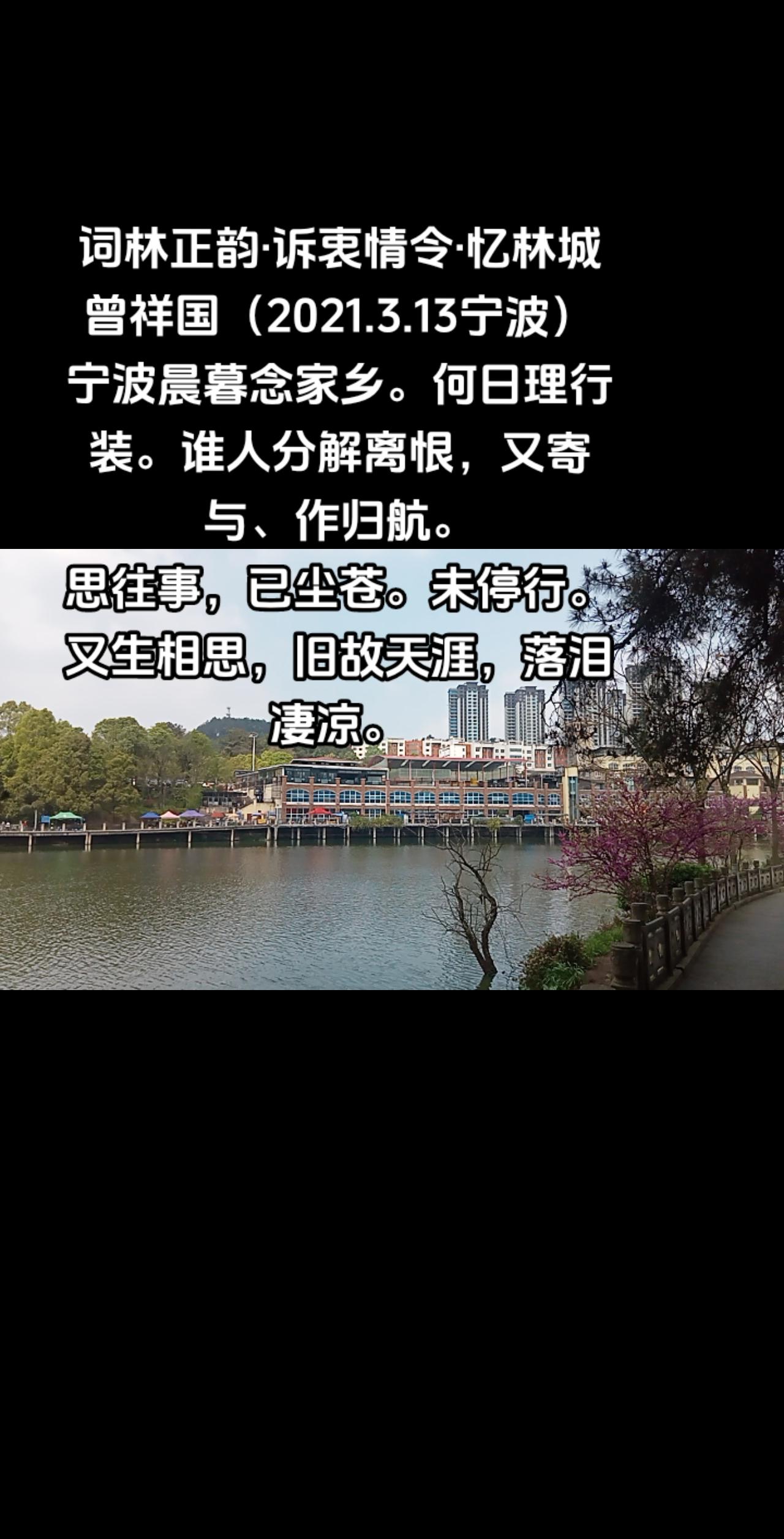 忆林城