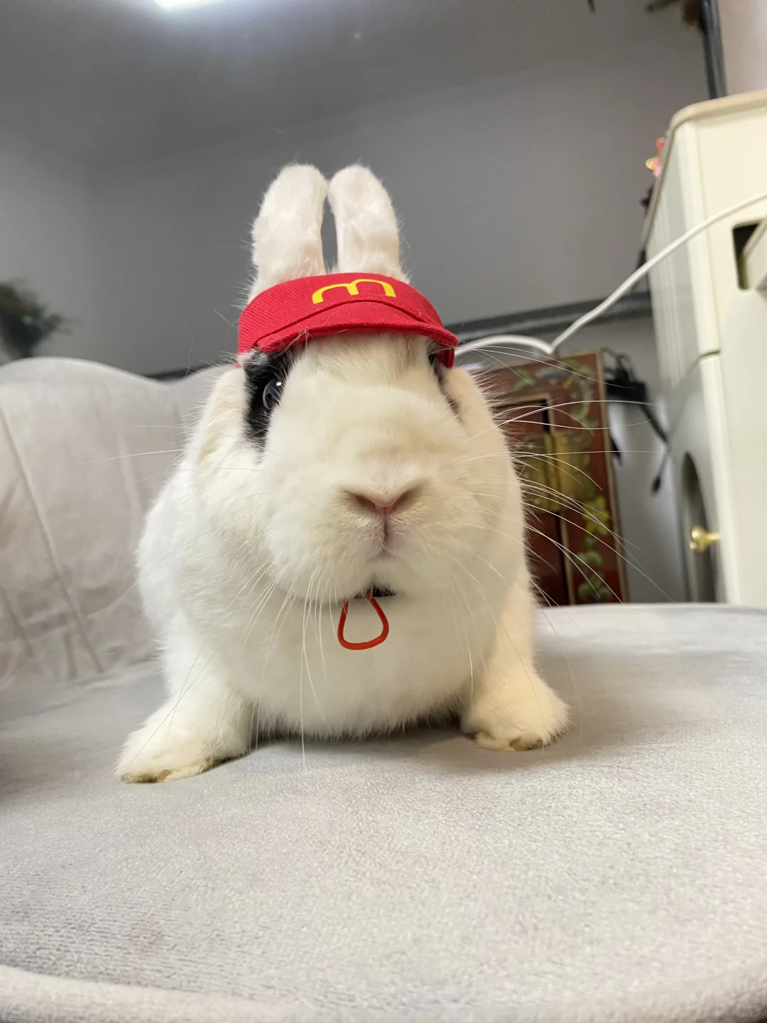 你好得来速想吃点什么？