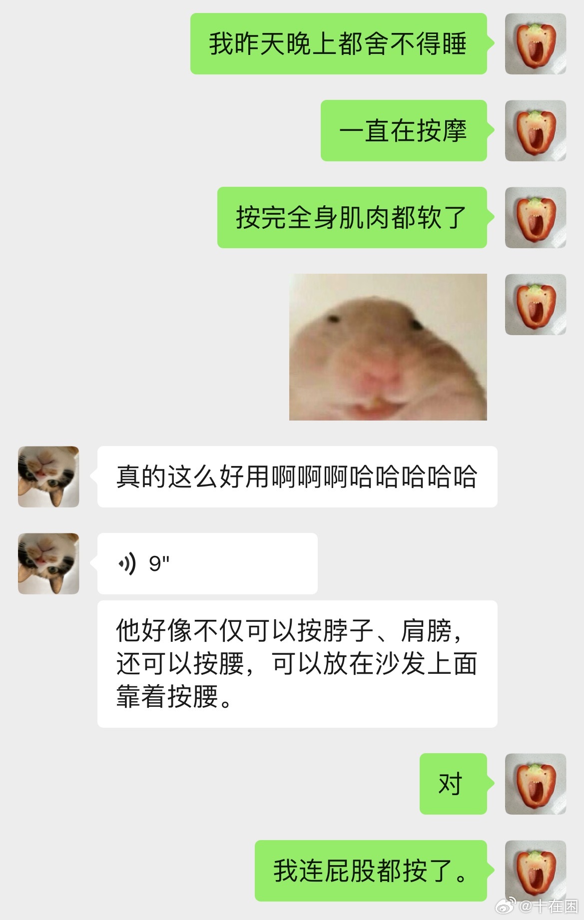 收到按摩仪后我爽得觉都不睡了。好想要一个比人类大很多的动物像撸猫撸狗一样给我按摩