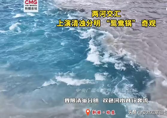 上周刷到新疆昭苏的航拍画面直接看愣了，特克斯河的两条支流撞在一起，一边是清透的青