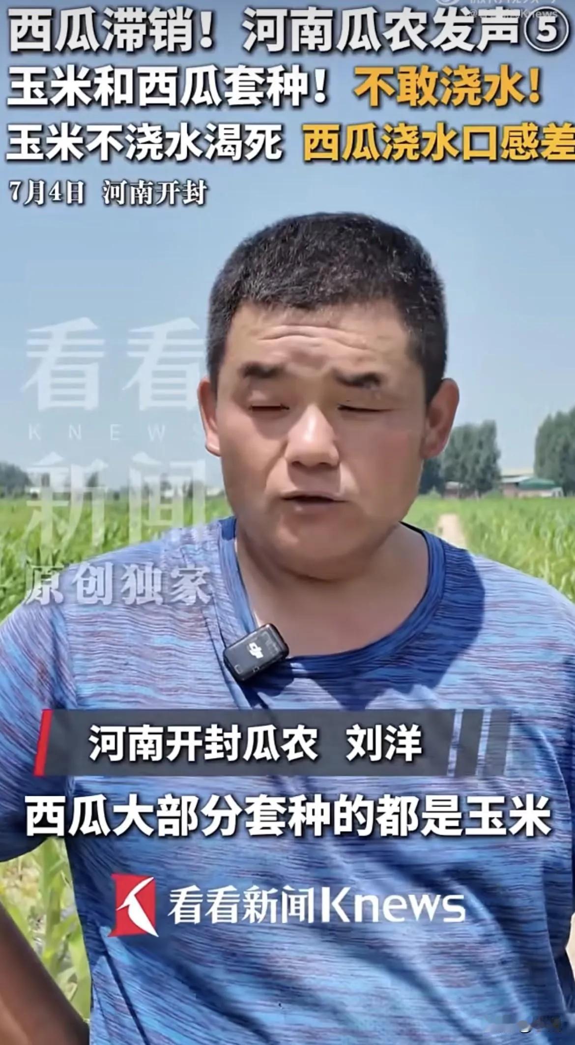 便宜为啥还卖不了，啥原因?
有的网友提出：不是种的多，而是河南的瓜品质不行，大部