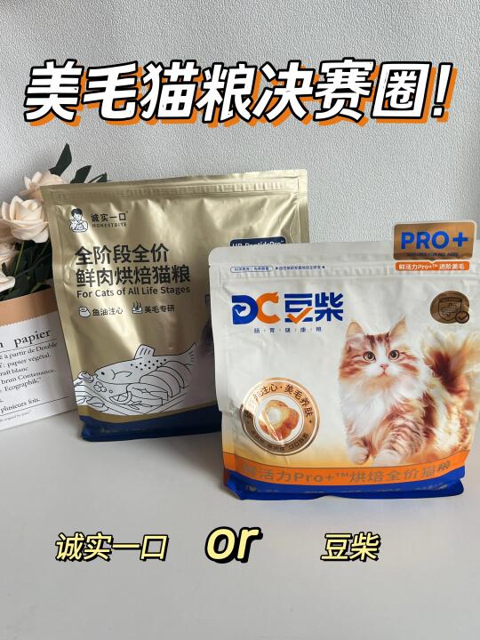 热门美毛猫粮极限二选一！