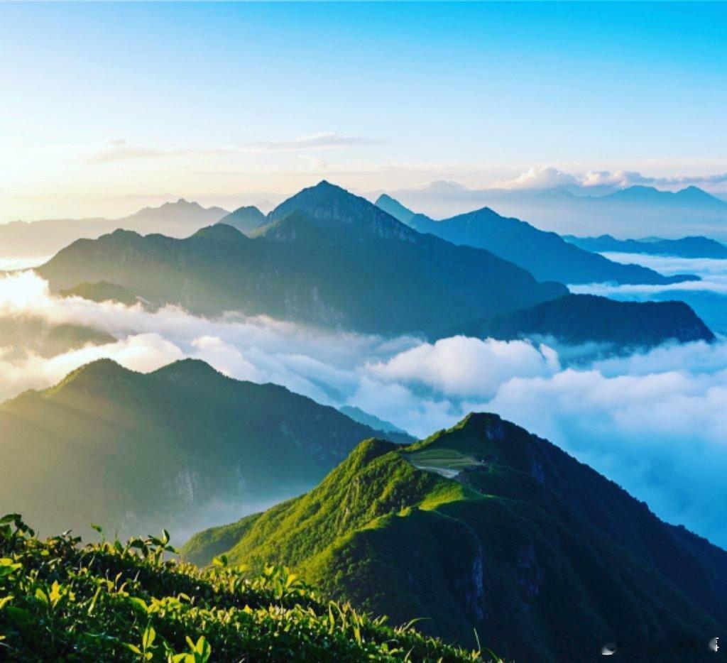 广西不止有山水还有云瀑 猫儿山华南之巅的日出云海，让广东摄影团凌晨三点就开始蹲守