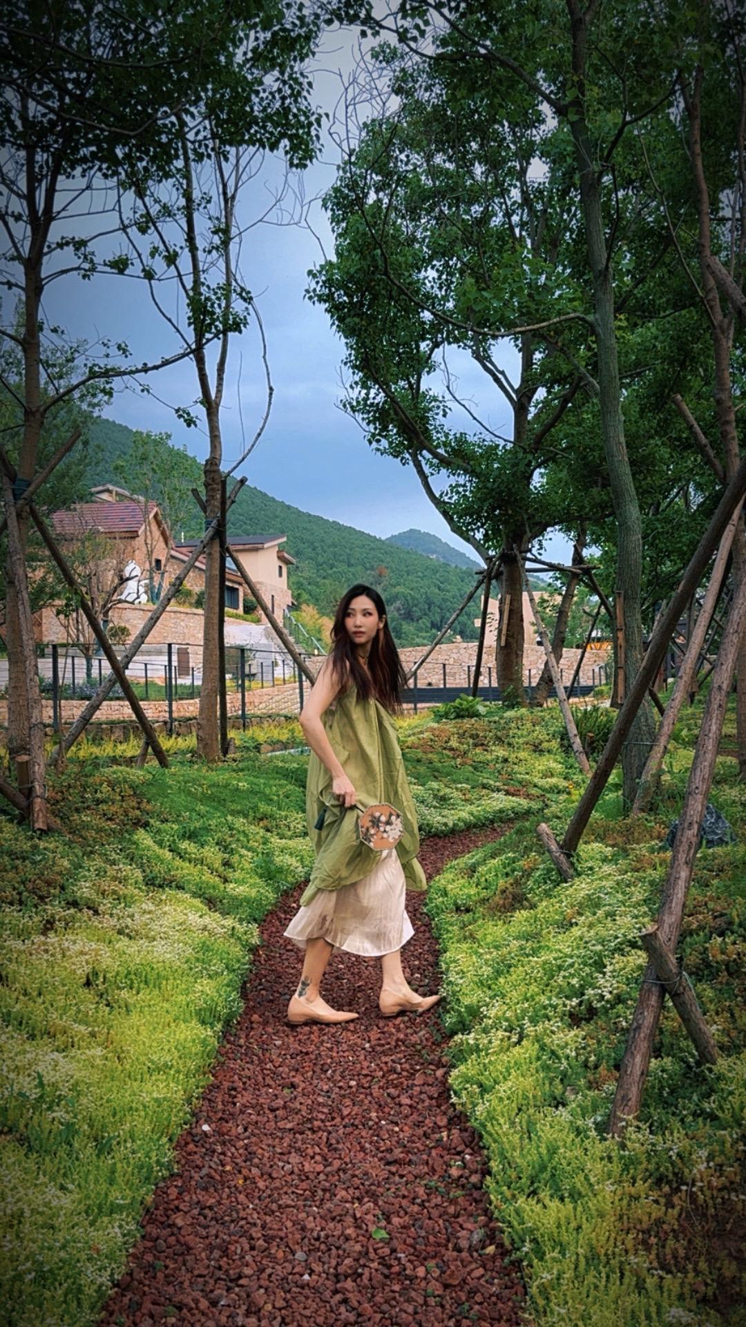 生命是一颗长满可能的树🌳