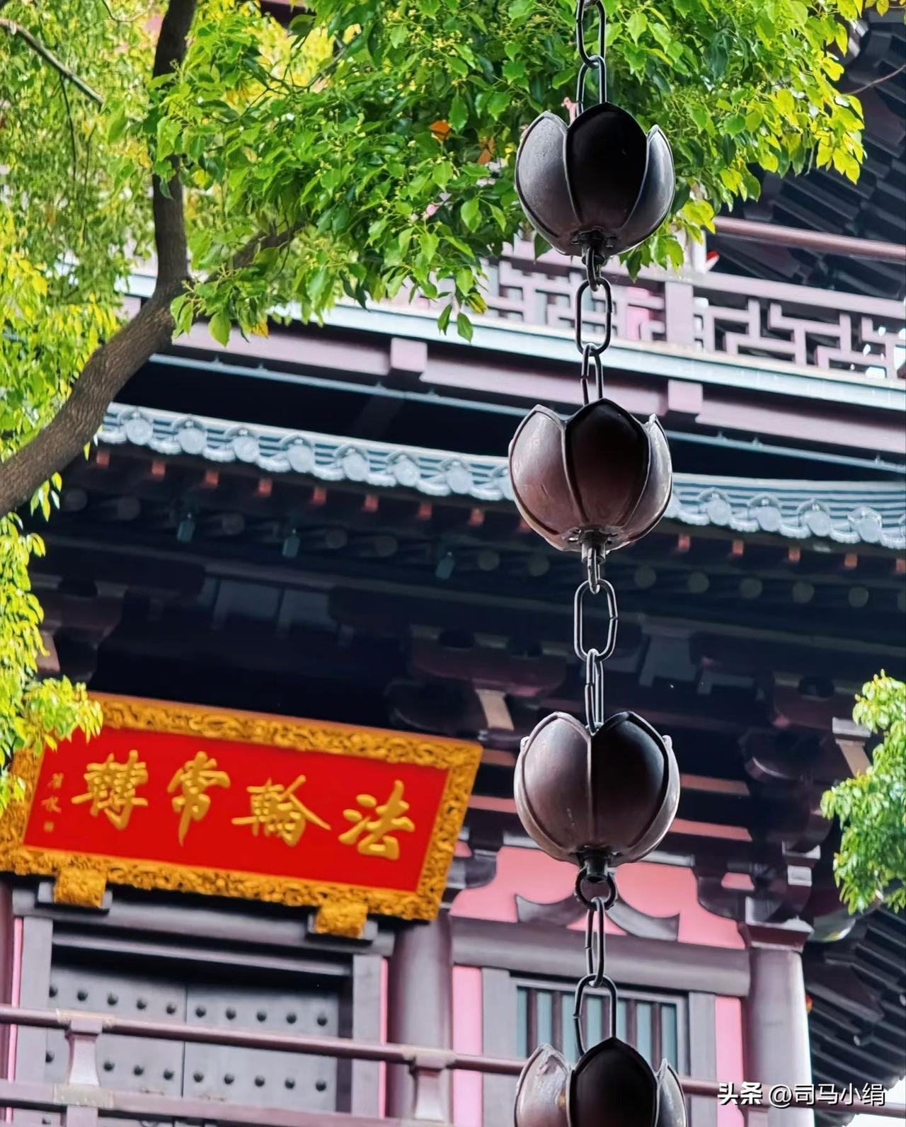 新年爱好打卡新年的爱九好就是旅游