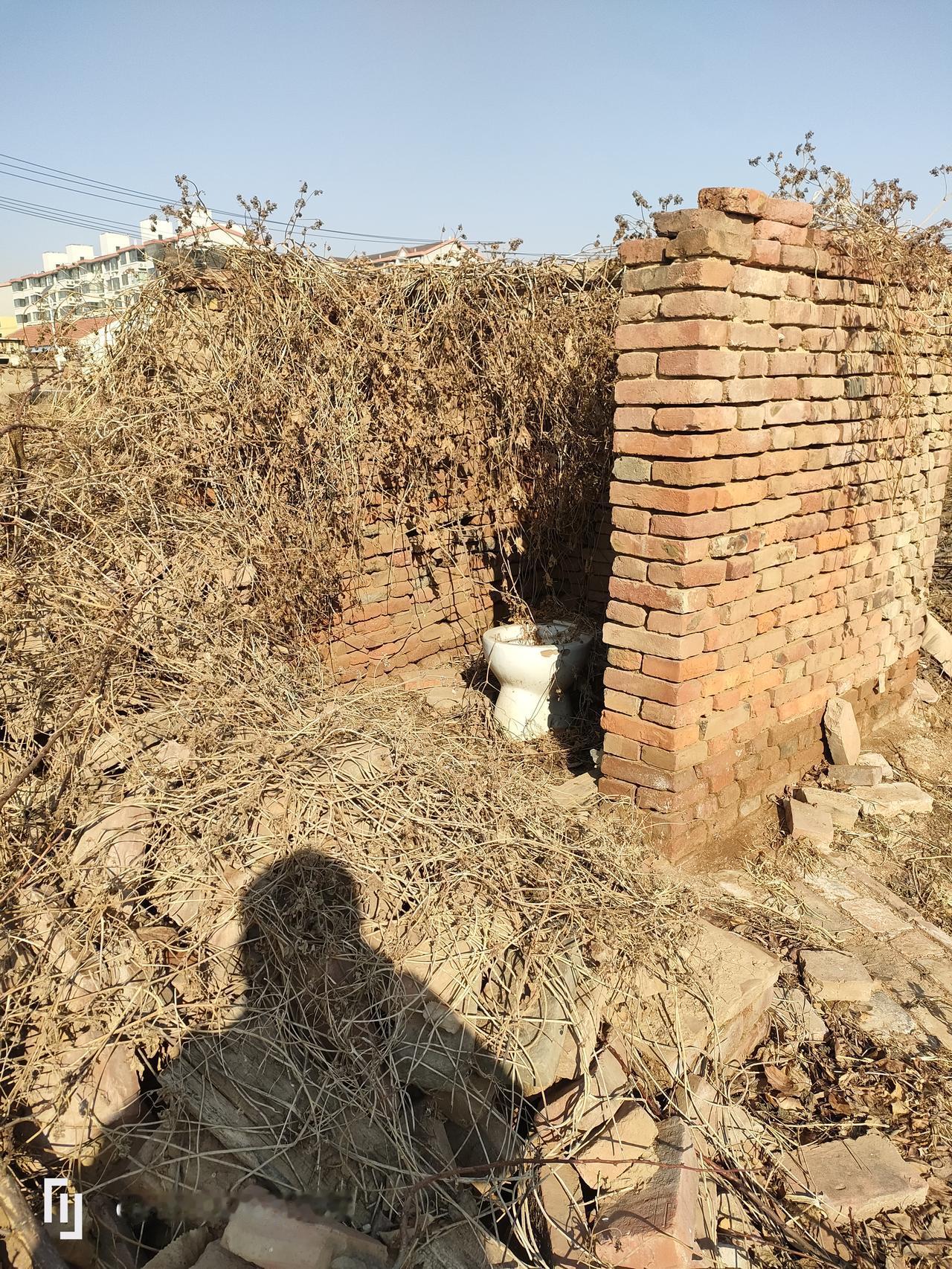 三急，遇到这样的厕所上吗？