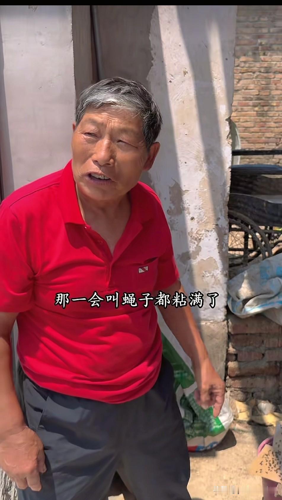 树兰家的卫生真令人堪忧，院子里各种牲畜，蚊子苍蝇满天飞，即使一箱粘蝇板都不管不了