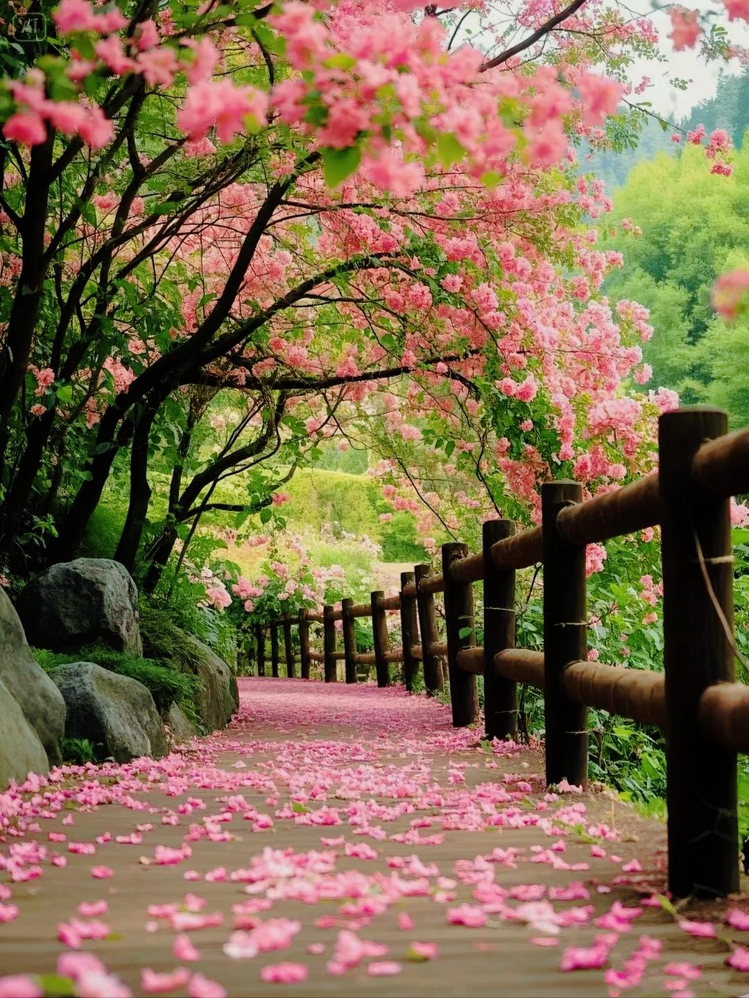 [微风][微风][微风]这世上所有的美好，都在免费滋养你。
你从来都不缺爱，只是