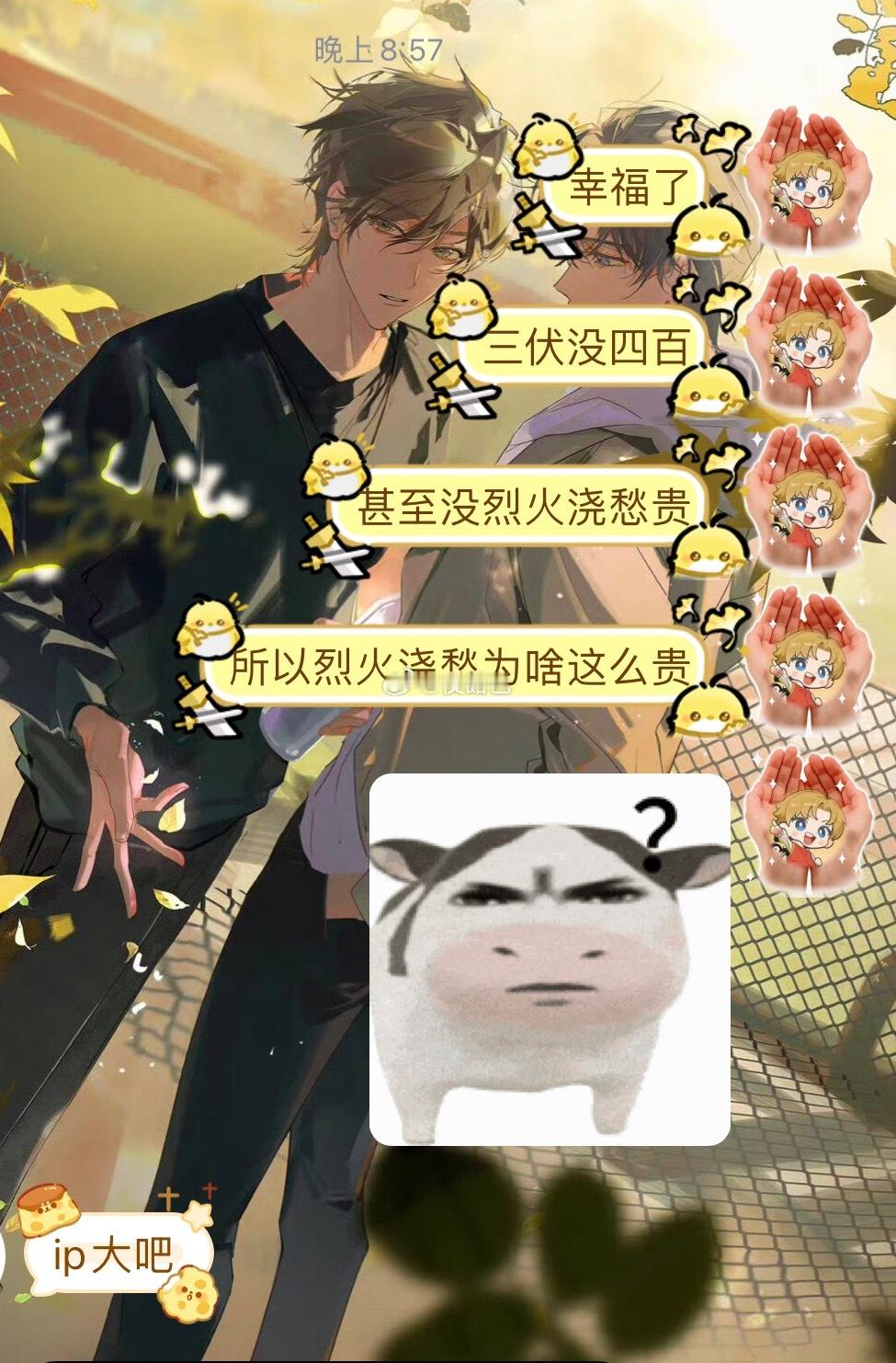 我真的一直在纳闷儿…… 