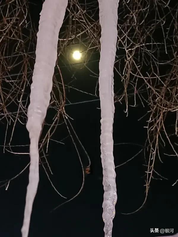 月明笛韵寒，芥舟邀对，这七个字凑在一起，脑子里瞬间铺展开半幅浸了凉光的水墨。
最