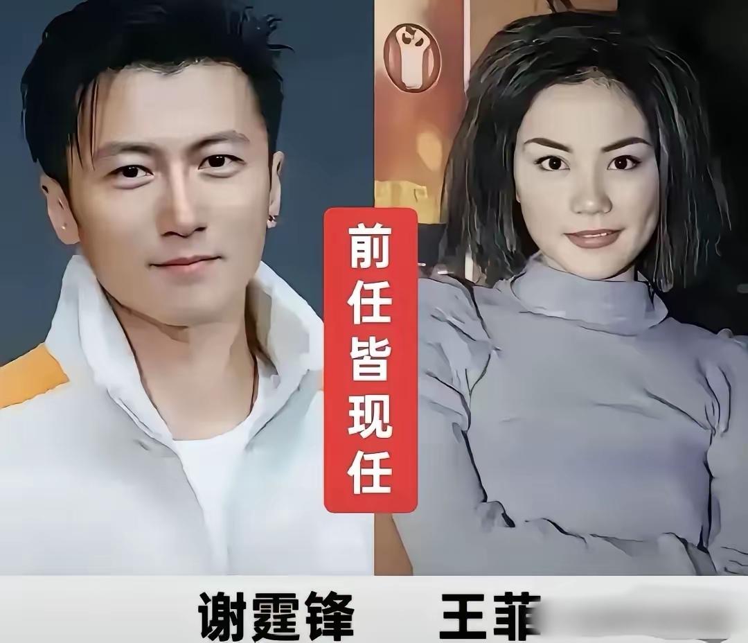 天后王菲的感情过往向来备受关注，先后经历六段正式恋情，历任相处之人各有特色，人生