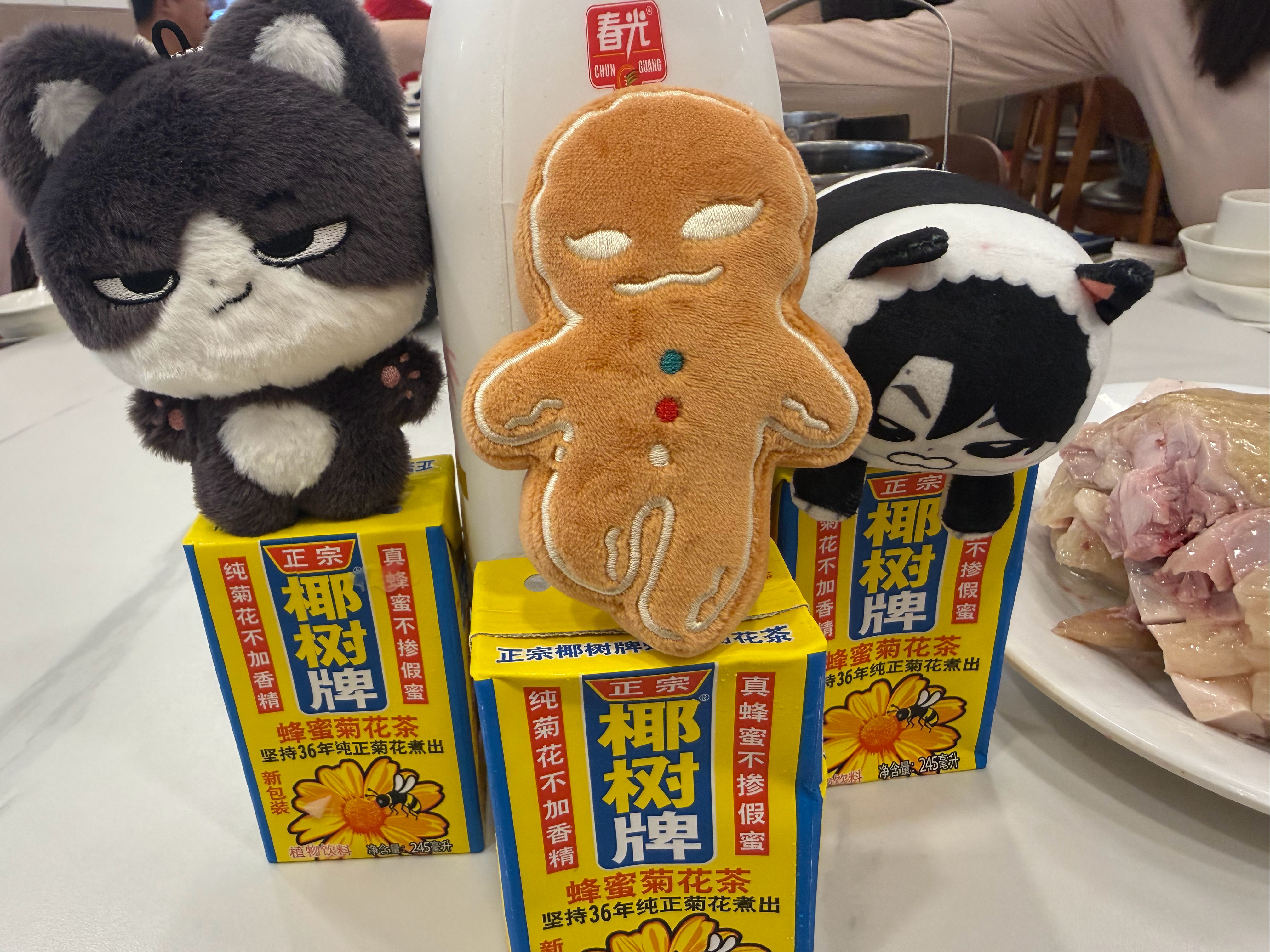充满惊喜和惊吓的海南行 有点不舍啊 下次再见吧 希望下次见面是幸运的 海口·海口