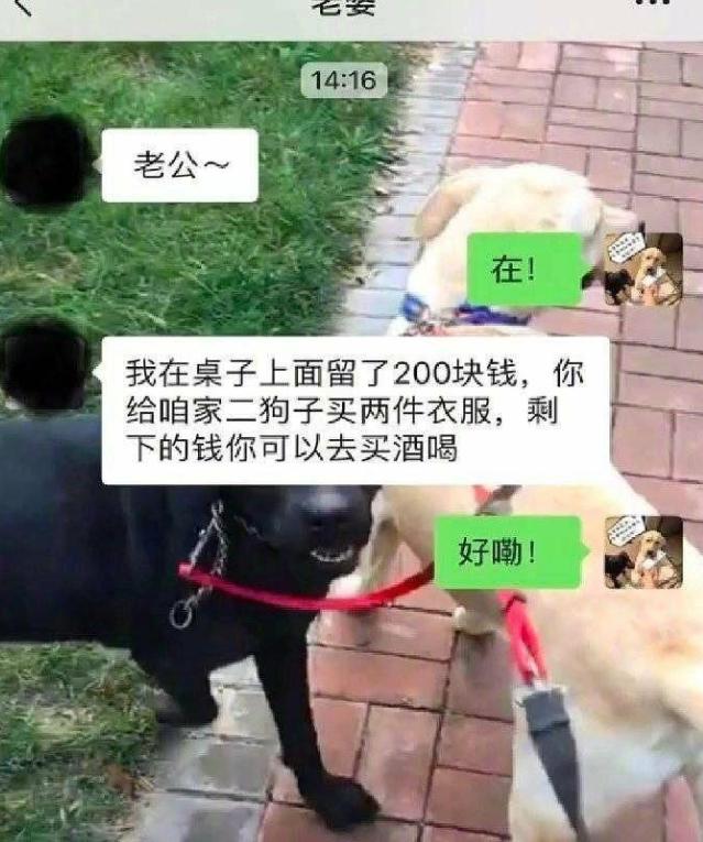 看来是做反了，钱拿去买酒有剩的买衣服