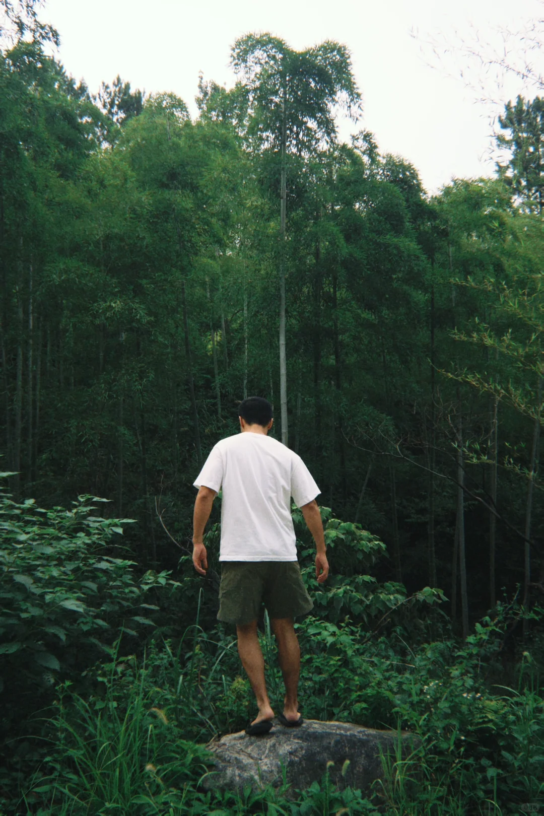你就是夏天