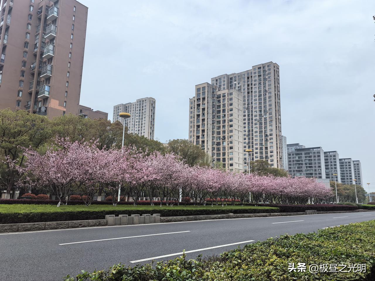 张雪和张雪峰的相同和不同

最近网上在热炒张雪和张雪机车，官媒也在报道。就像冥冥