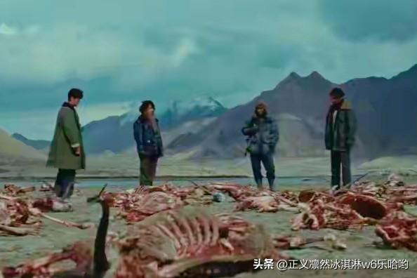 有两部作品叫《生命树》，剧情大不相同。
范宗钗导演的电视剧《生命树》，以青海三江