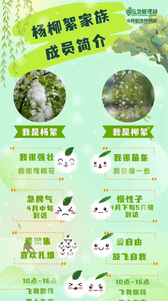 漫天飞絮别大意⚠️杨柳絮极易引发火灾，这份安全防范知识一定要看！春季防火关键期?