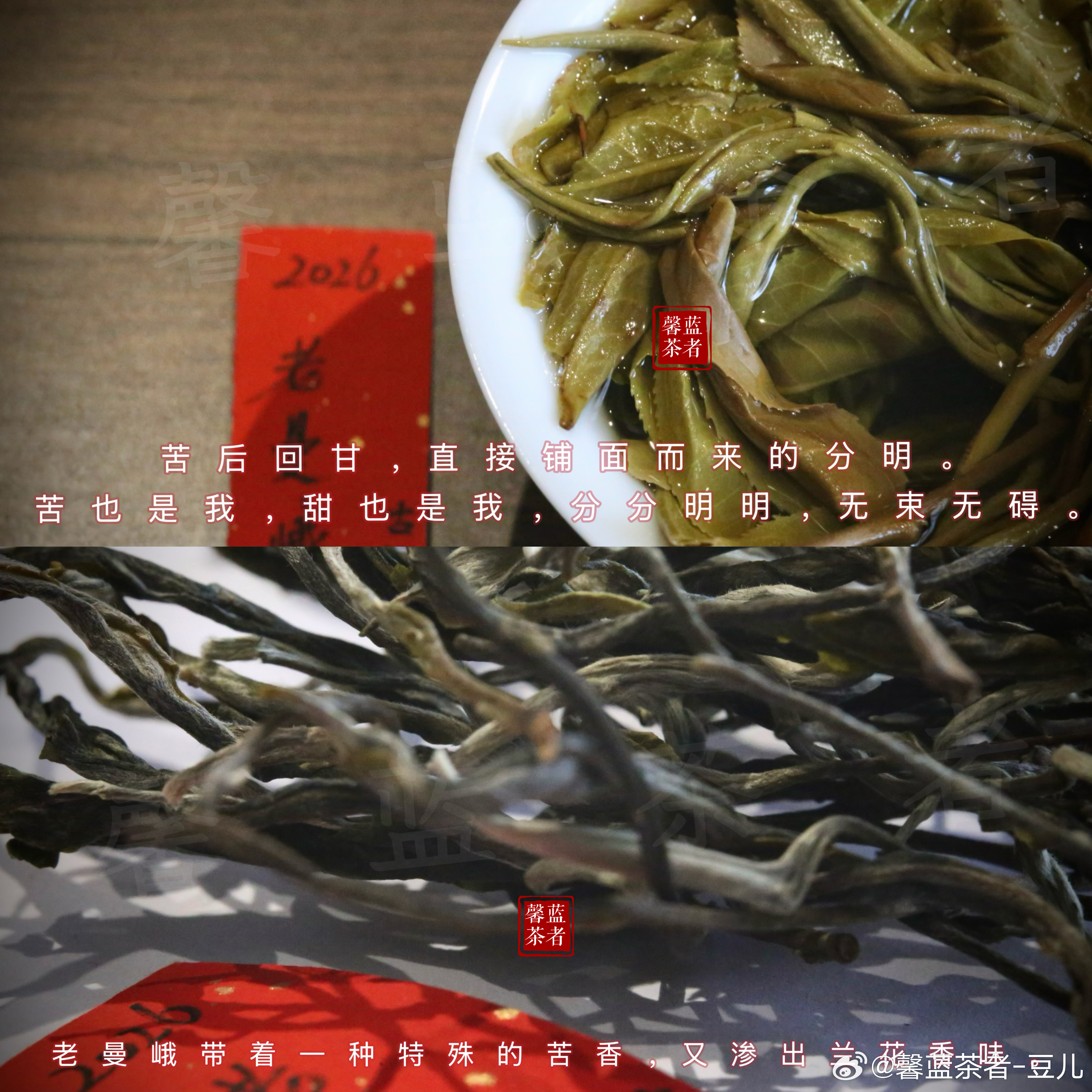 阅草木心绪，愿海晏河清。馨蓝茶者生活感悟随笔 成都·光华