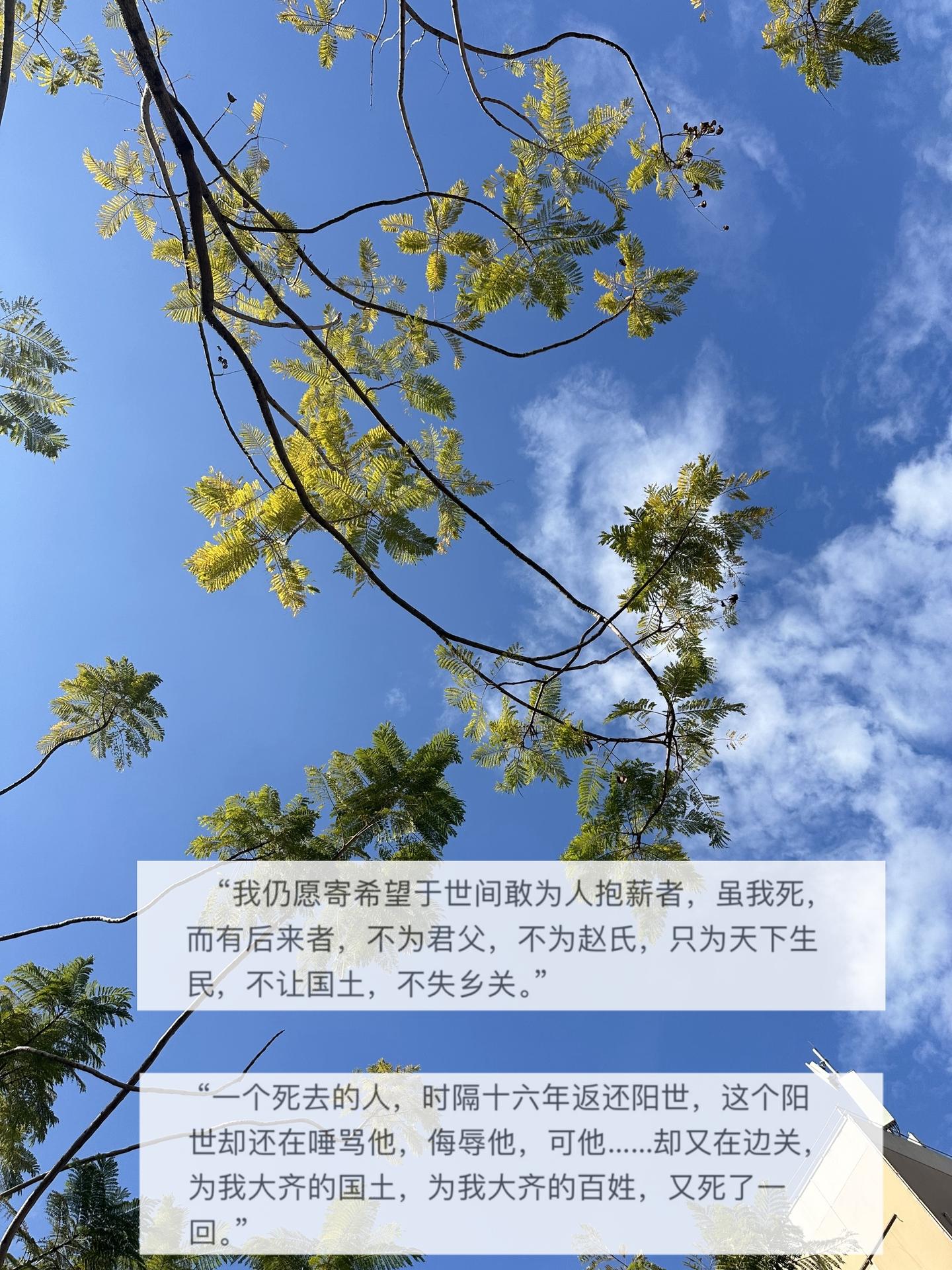 知世故而不世故 历圆滑而弥天真.