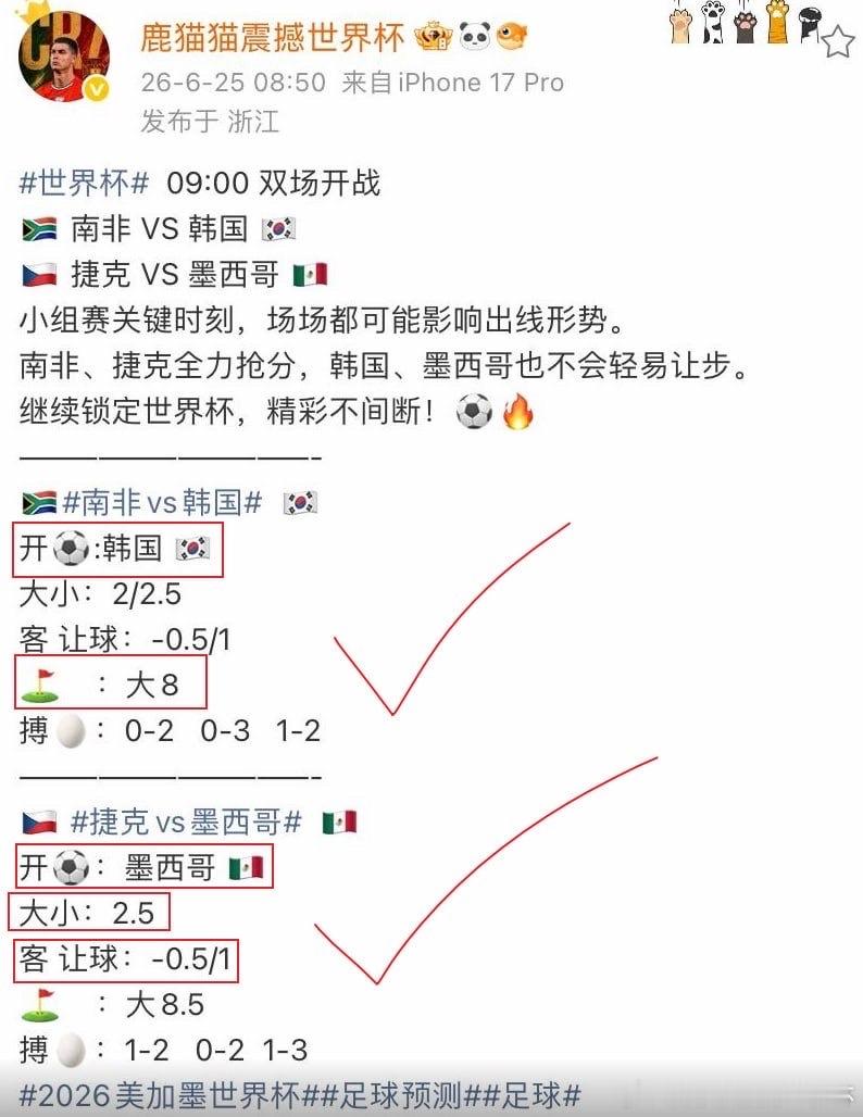 世界杯小组赛A组第3轮，韩国￼不敌南非￼，跌至小组第三，南非1-0击败韩国，南非