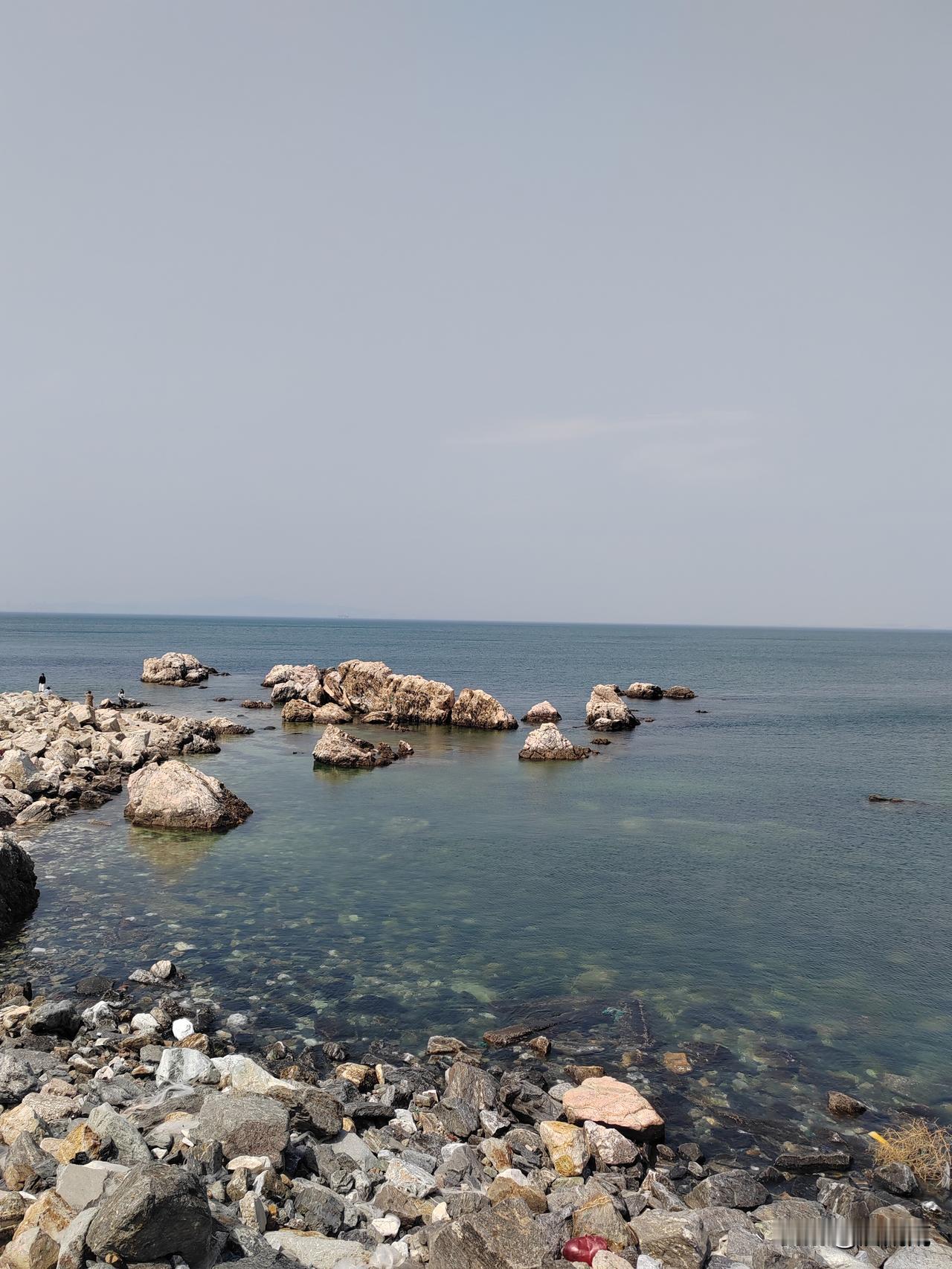 倚天屠龙记里面，金毛狮王，张翠山，殷素素被困在岛上里面几年，原本势不两立的两个人