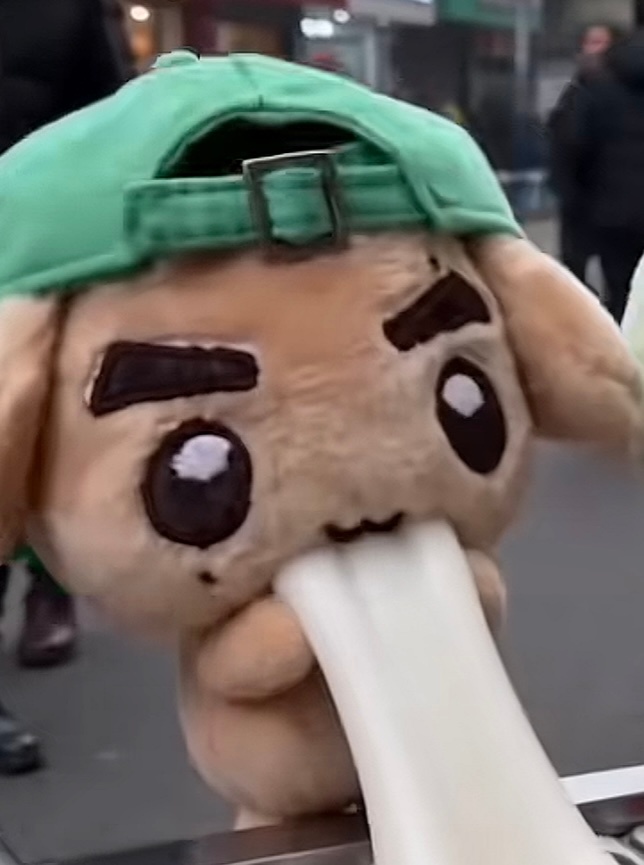 每日一狗 