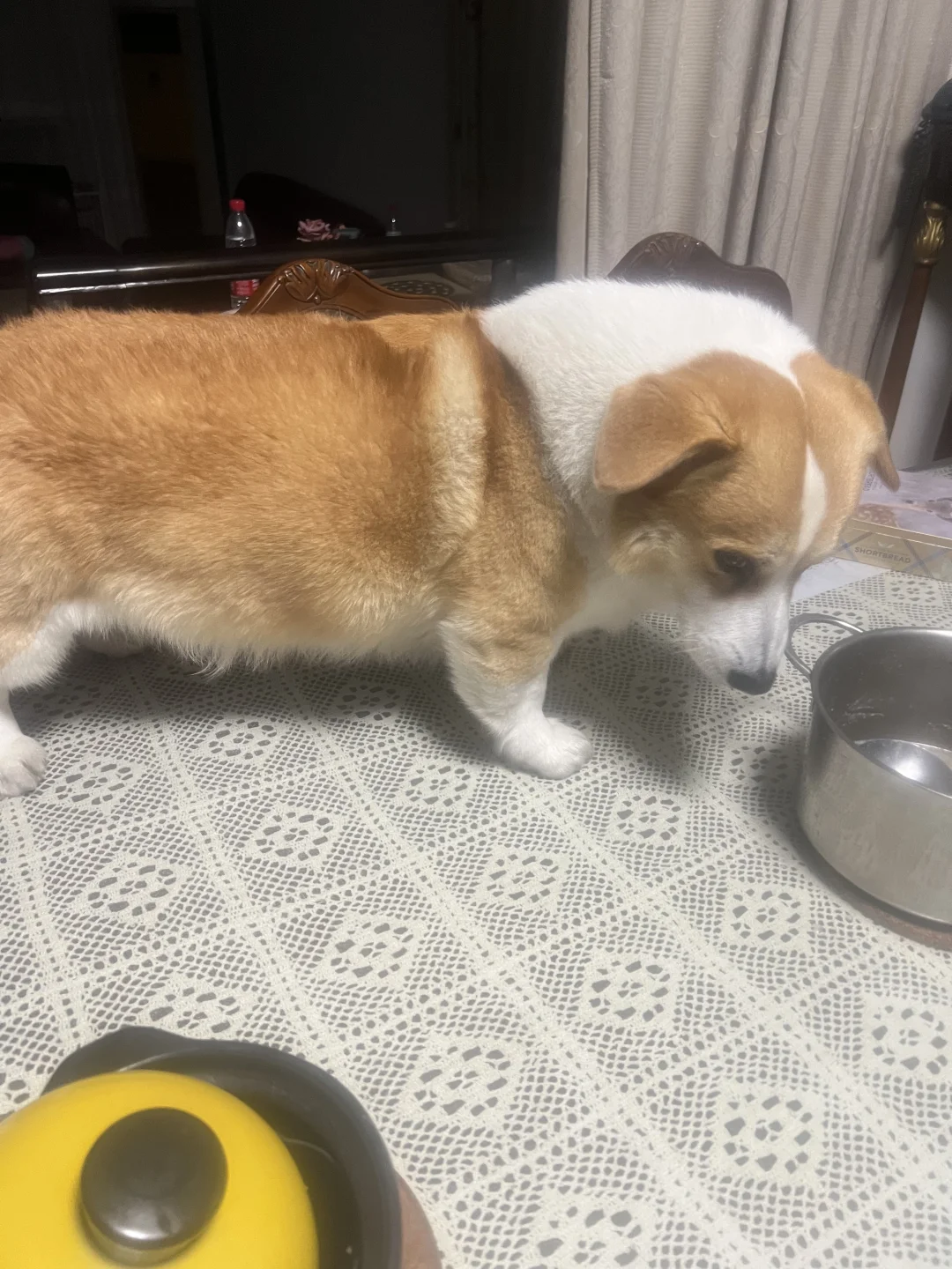 又一次被我发现自己上桌吃饭