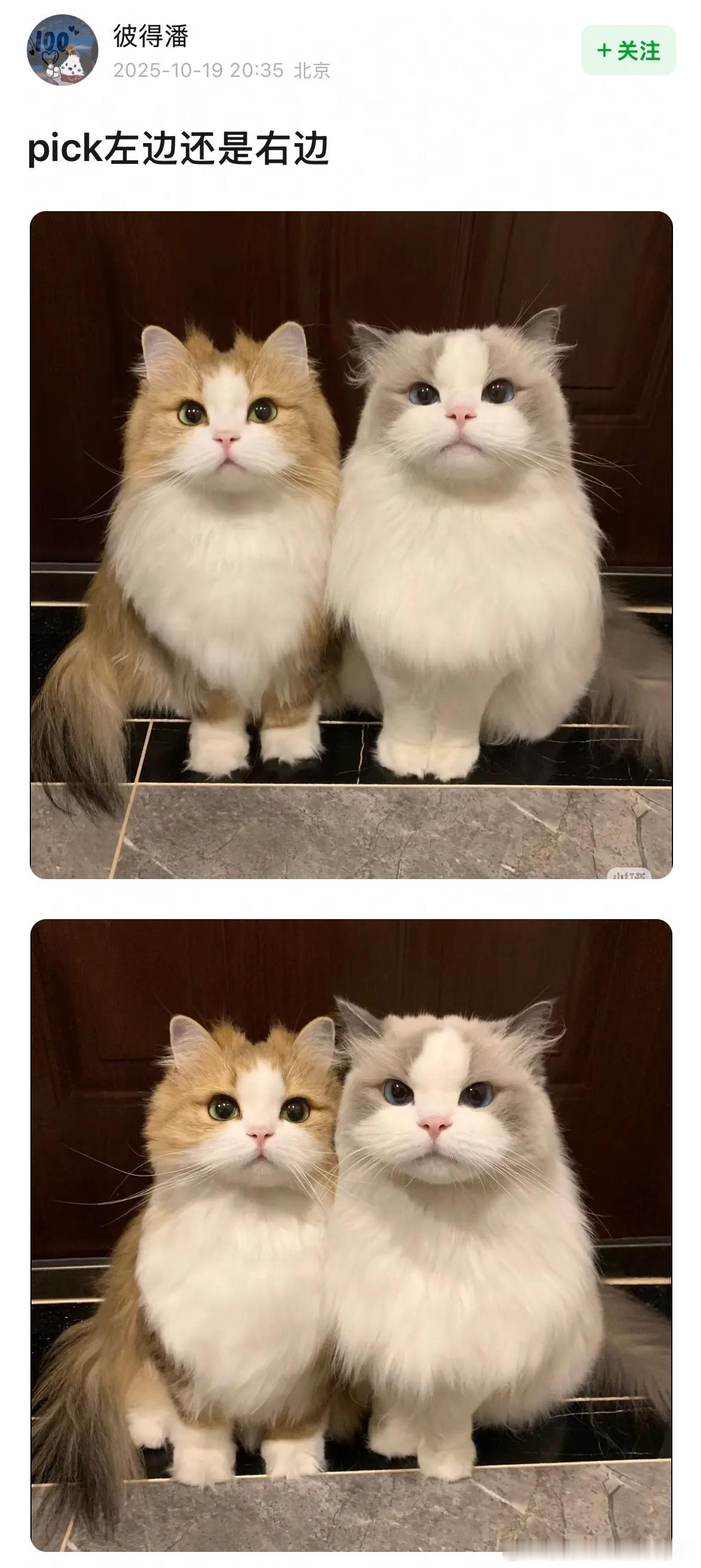 Pick左边还是右边？ ​​​