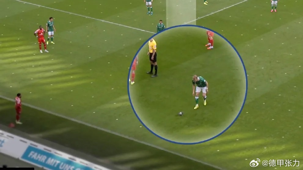 输球因为被放鸽子？不来梅本轮主场输给美因茨，第一个丢球或许和鸽子有关。当时球场里
