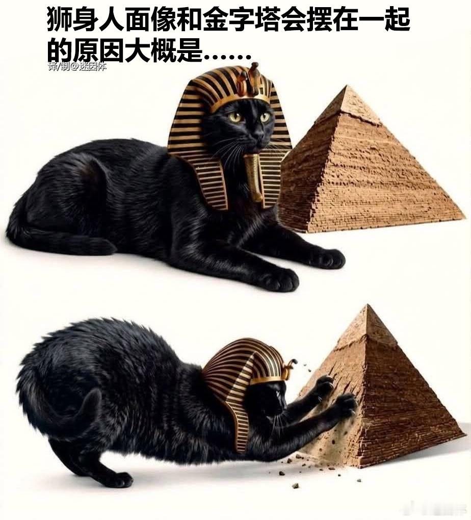 回不去了，金字塔其实就是猫抓板。memes迷译图