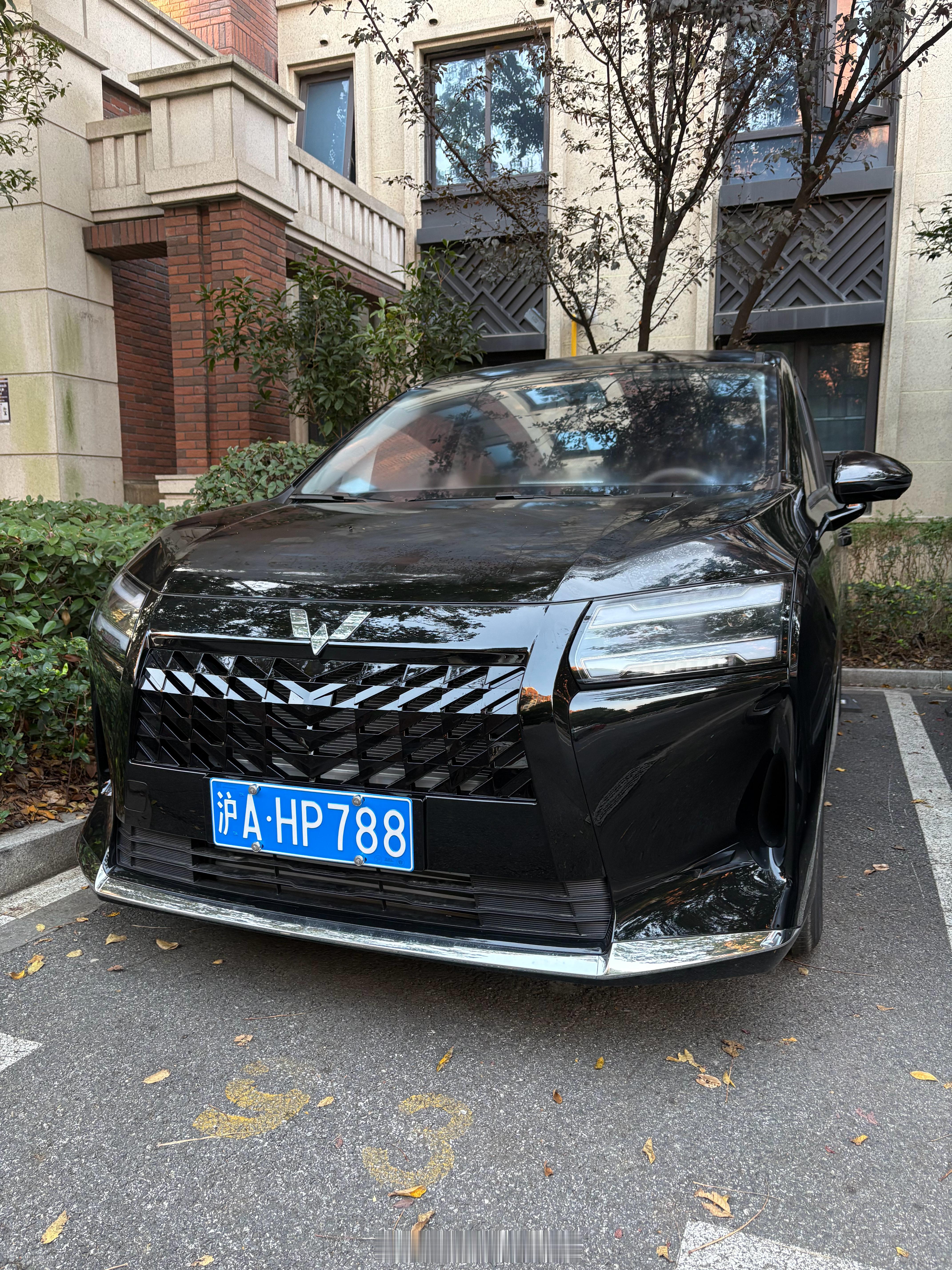 哇！小区已经有人抢先入手了黑武士版本的星光730燃油版，颜值真的在线！之前车主共