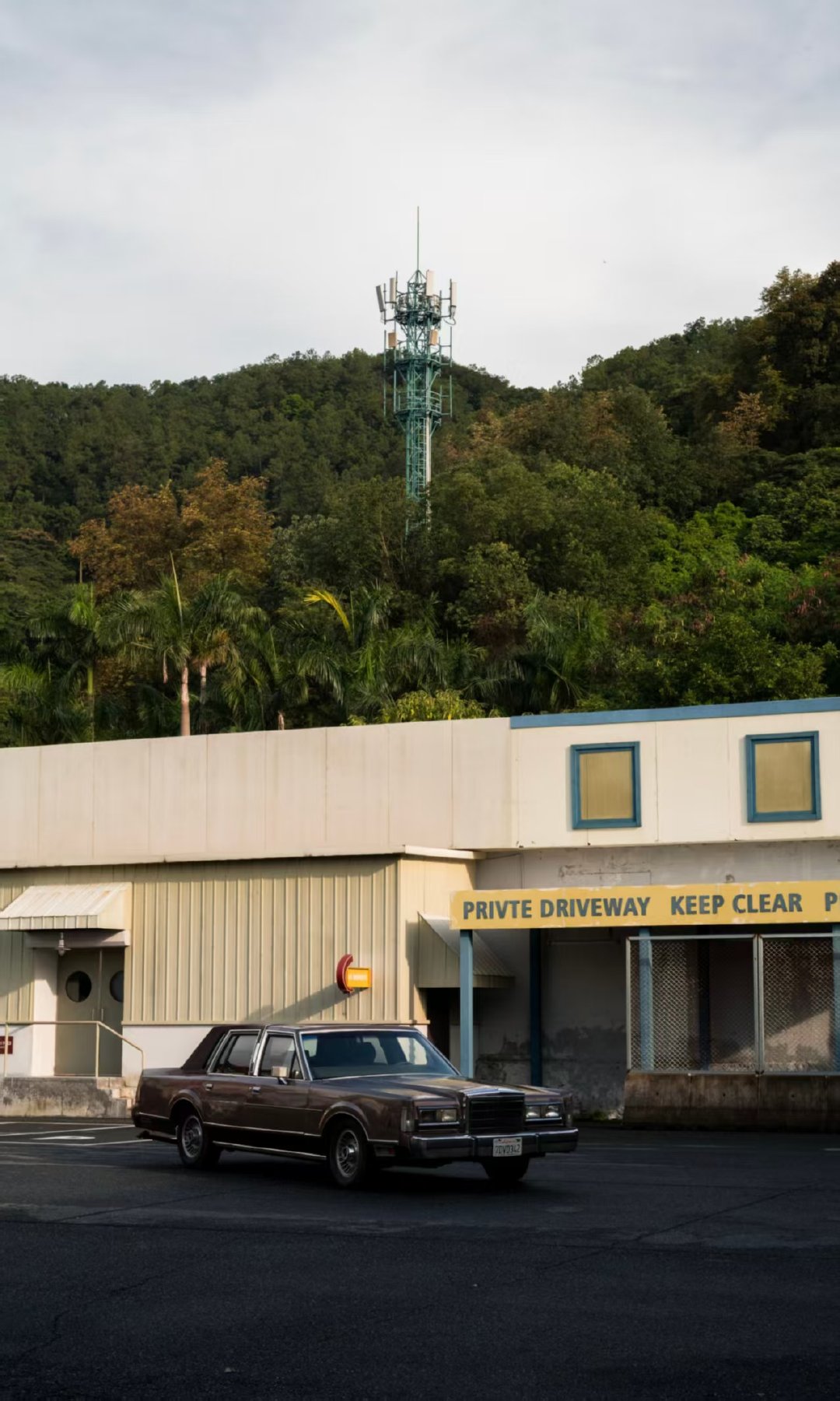 李现快门不能停李现杨紫亲爱的热爱的开播七周年 李现又来晒自己拍的照啦，《亲爱的热