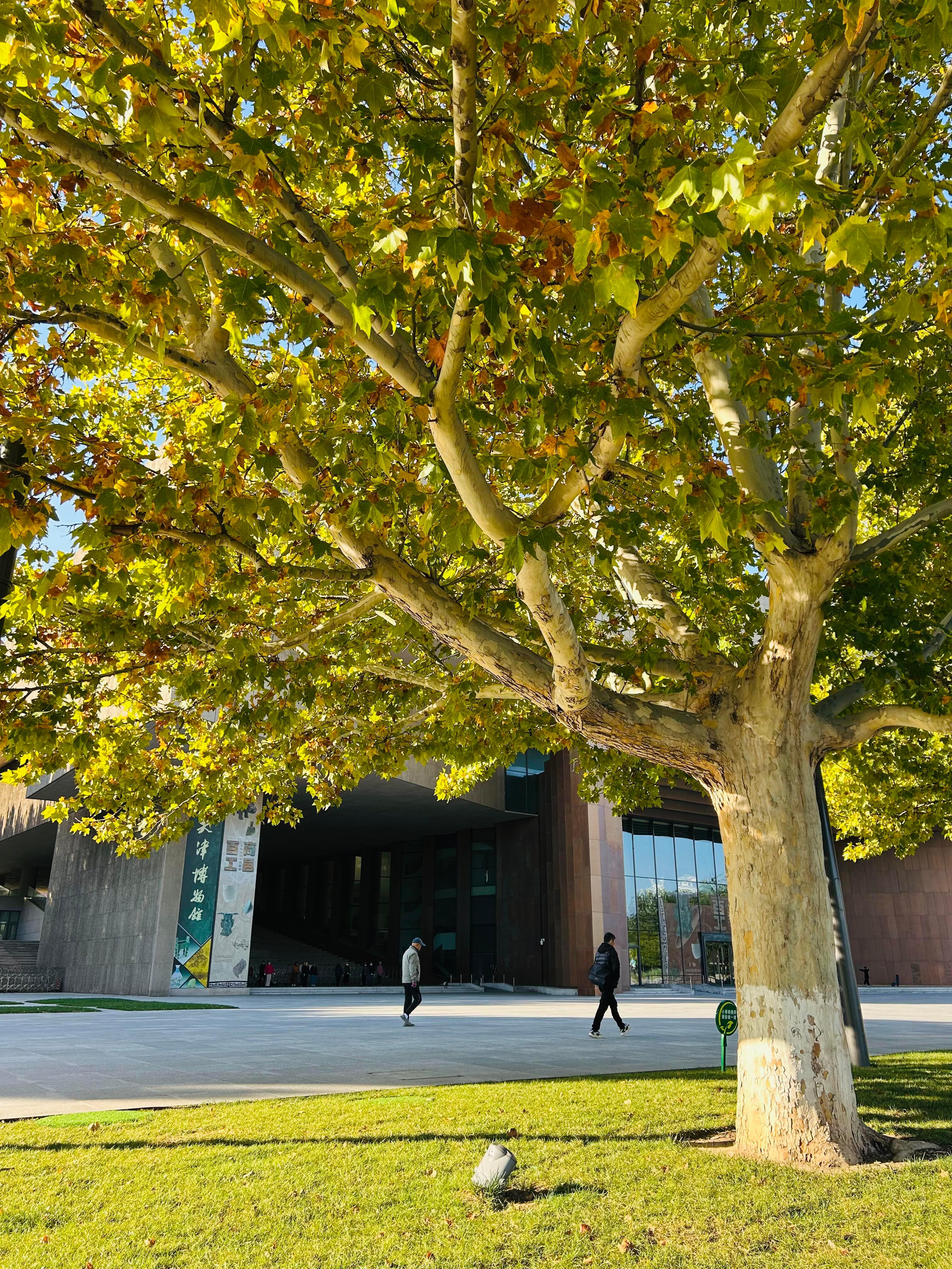 天津河西职工用影像定格的幸福10.20日的天津文化中心，每一帧live图都在发光