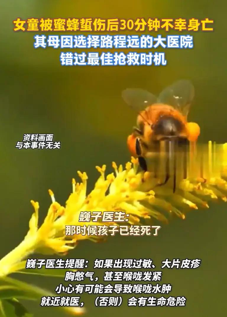 “泪目“！”北京icon，一名小女孩在外被蜜蜂icon蜇伤，很快身体就出现不适，