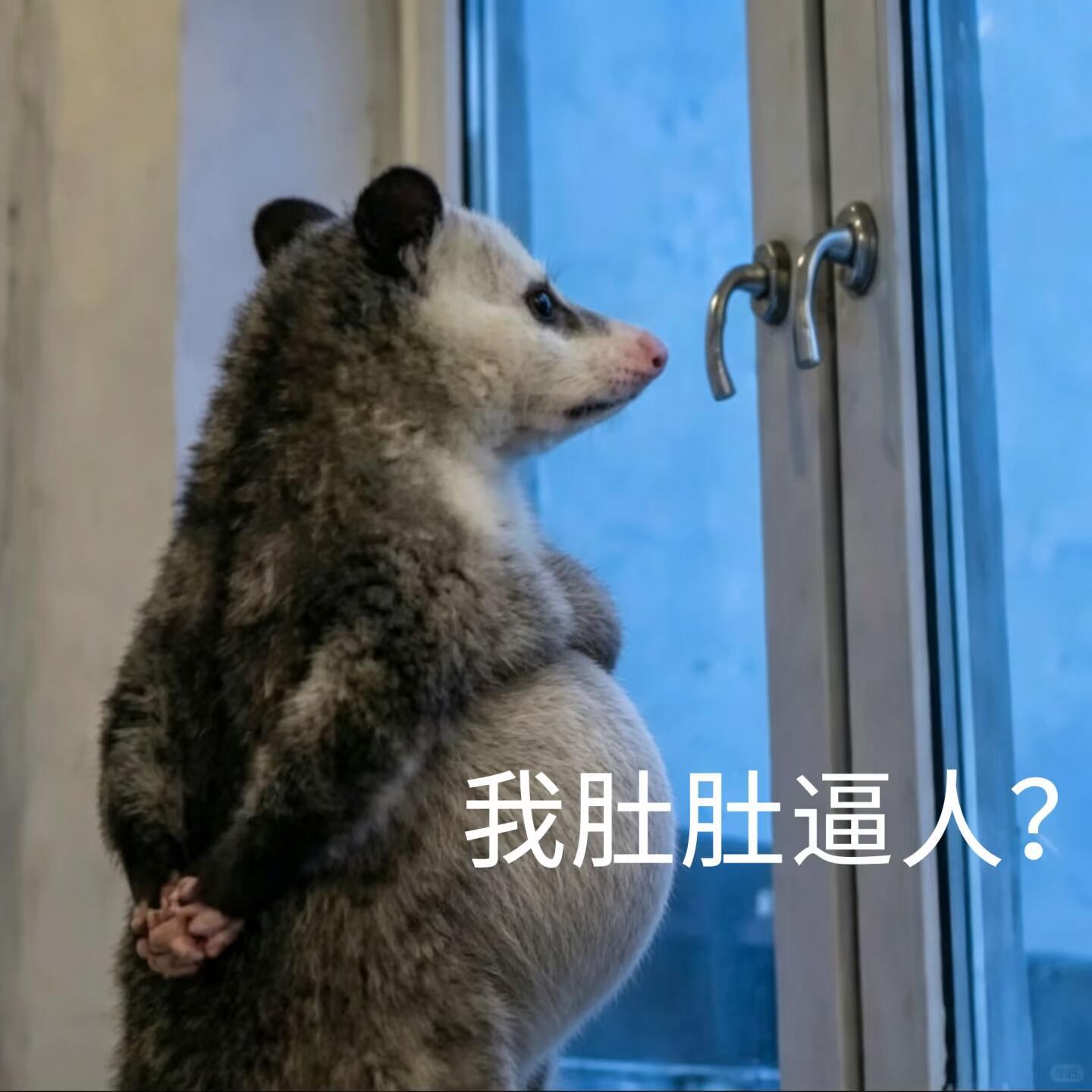 上班是一场巨大的慢性肥胖每天坐八小时，肚子不长才怪 