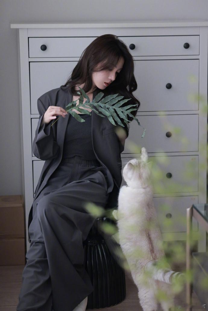 陈瑶完全御兽宗圣女陈瑶的小呼报恩型小猫陈瑶和小呼的同框真的很有故事感，一边是温柔