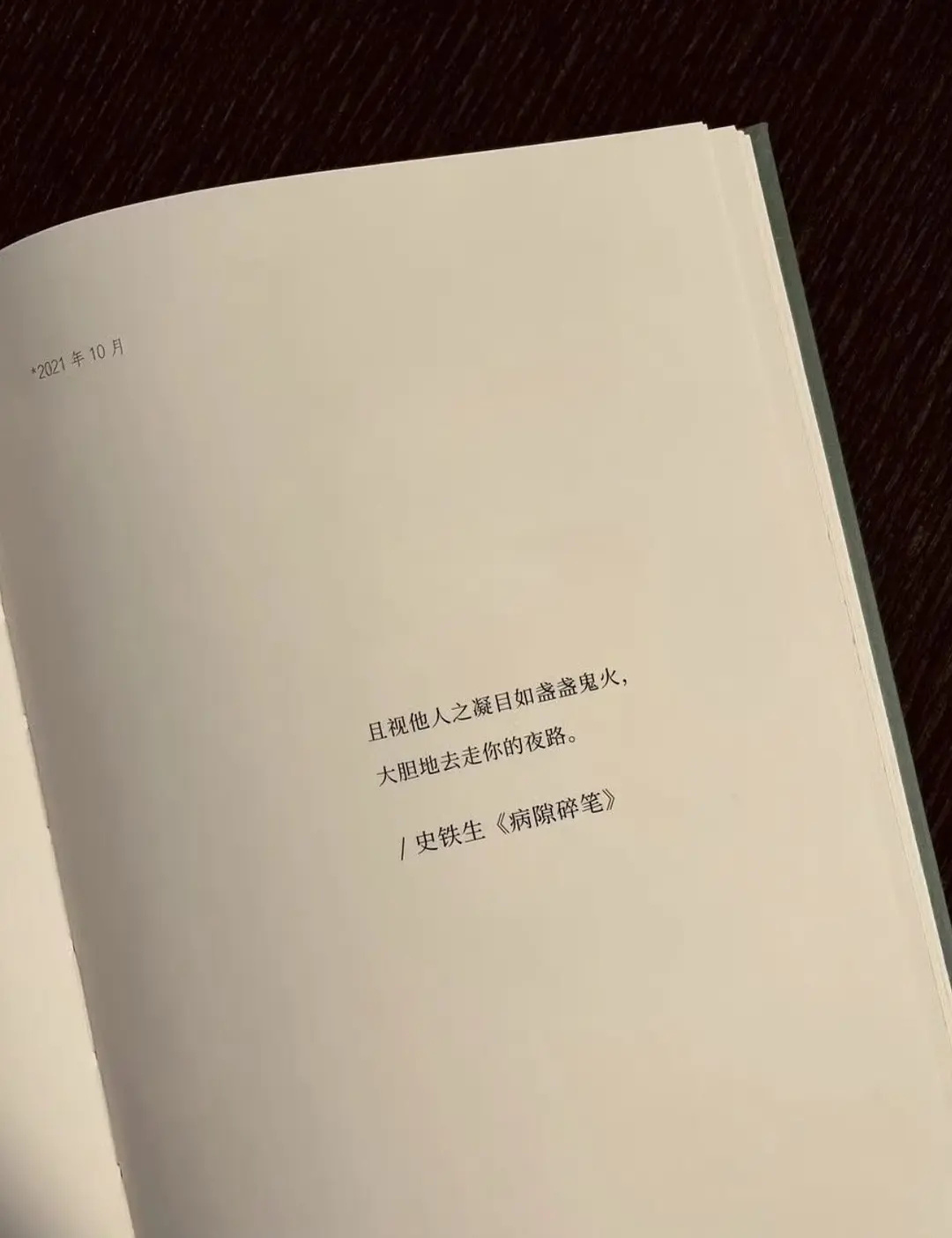 史铁生的顶级文笔 