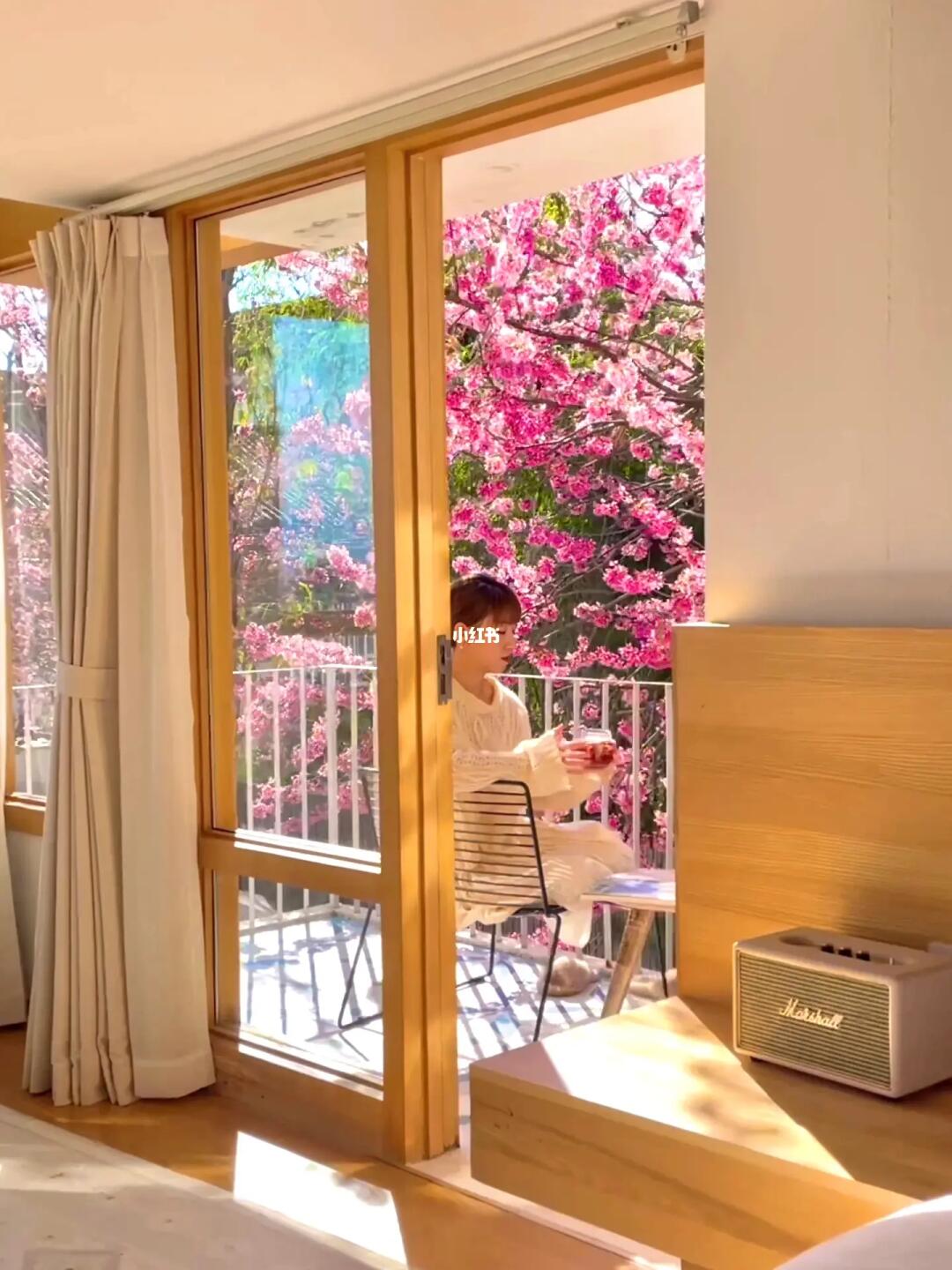 冬日大理是我想要的浪漫🌸live图的意义❗️