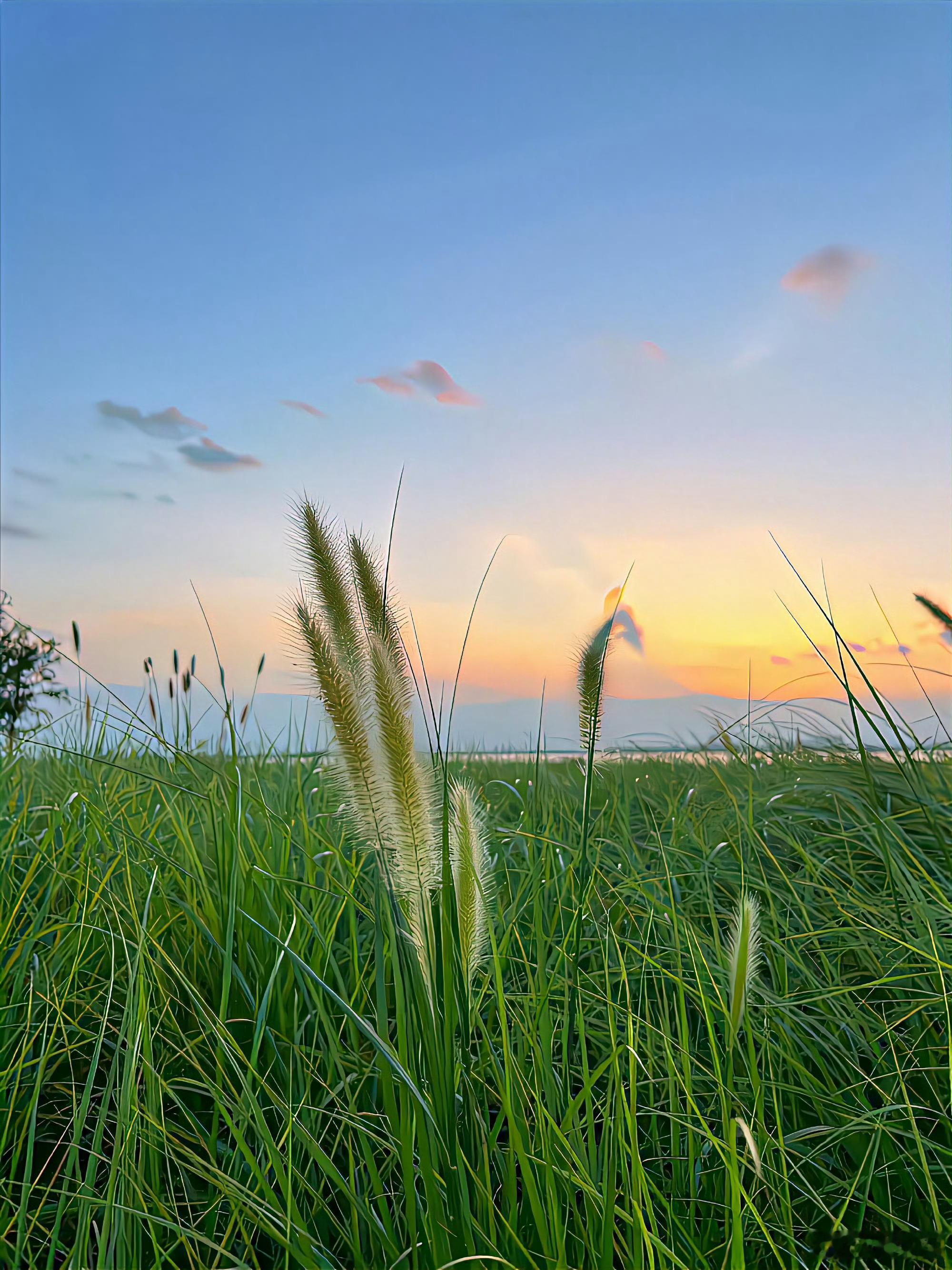 分享图片 ​​​