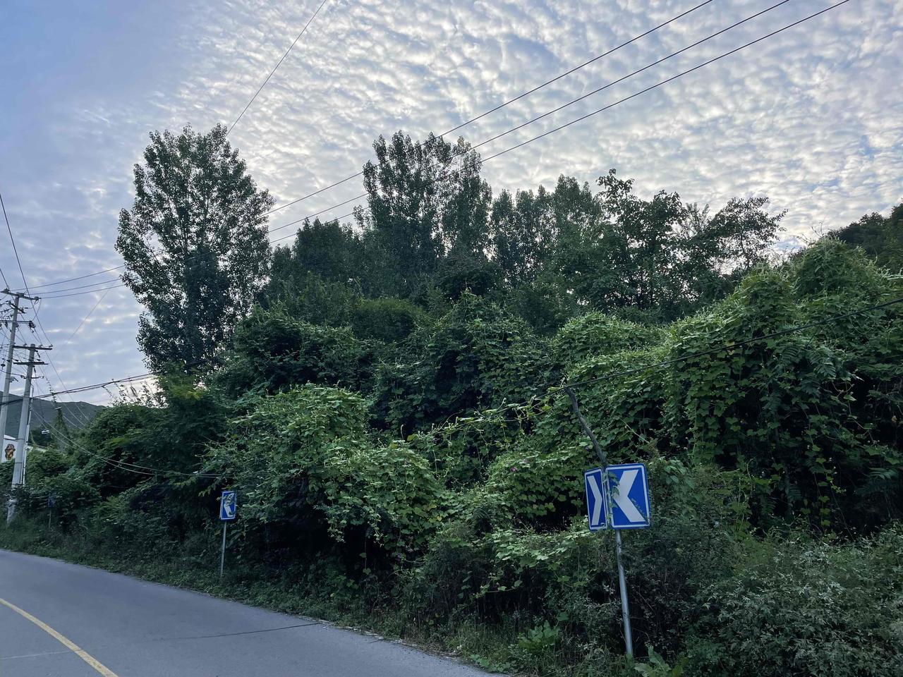 老同学聚餐聚会你们还参加吗?我早就不参加了，估计有10来年了，感觉在一起没有什么